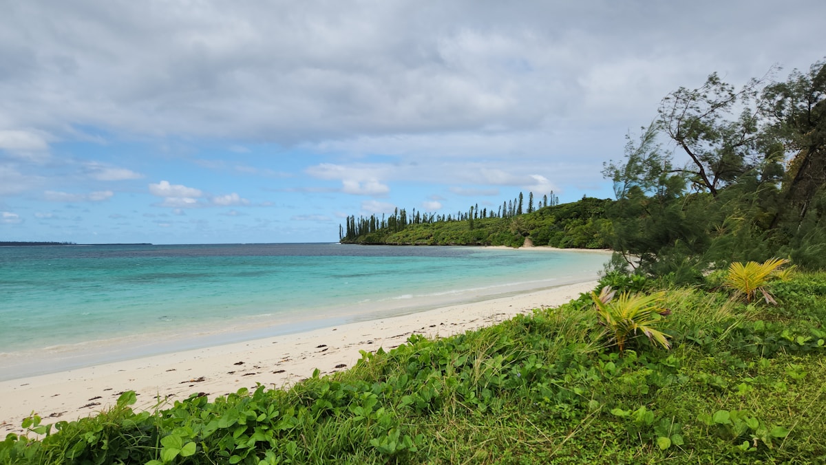 New Caledonia, New Caledonia