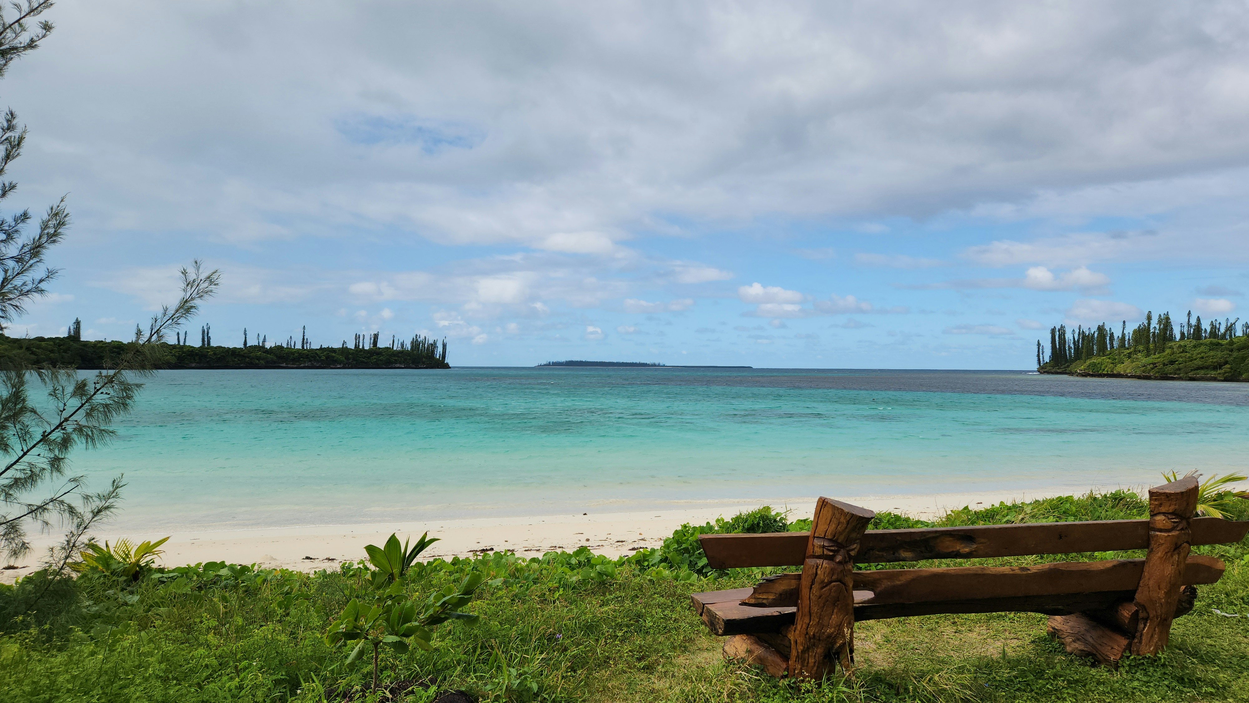 a wooden bench sitting on top of a lush green field
