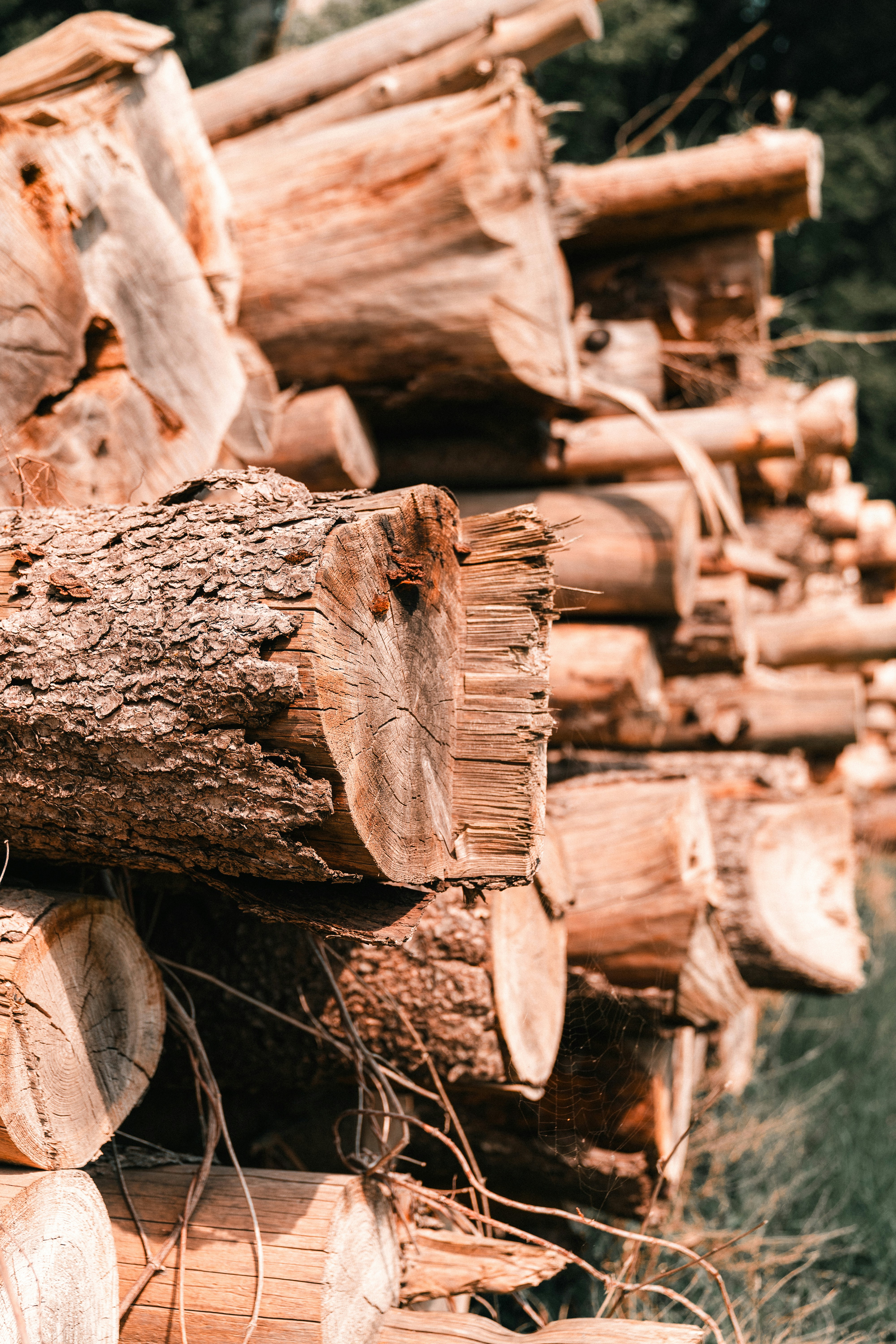 a pile of logs sitting next to each other