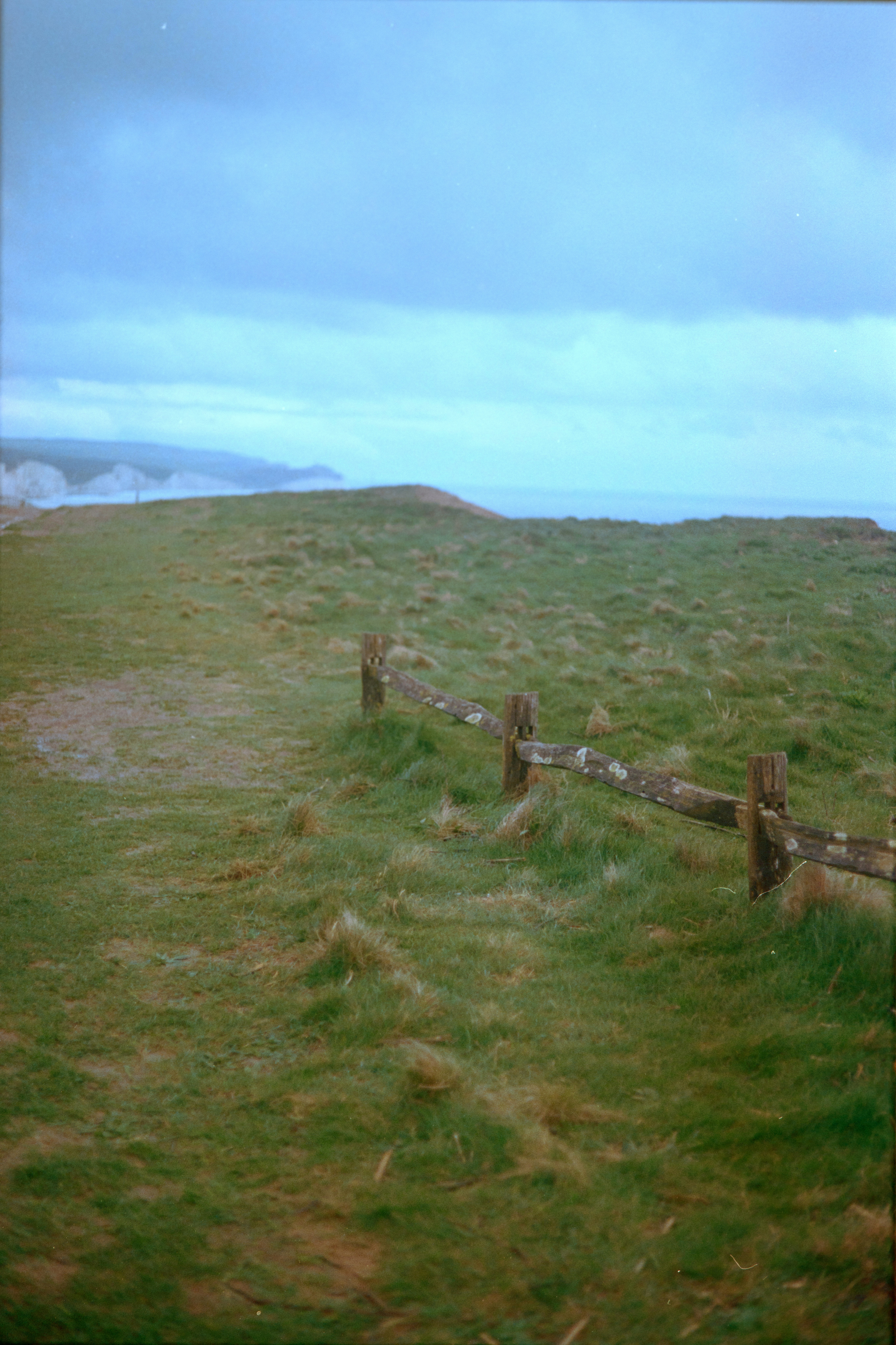 Photo by babikacharava