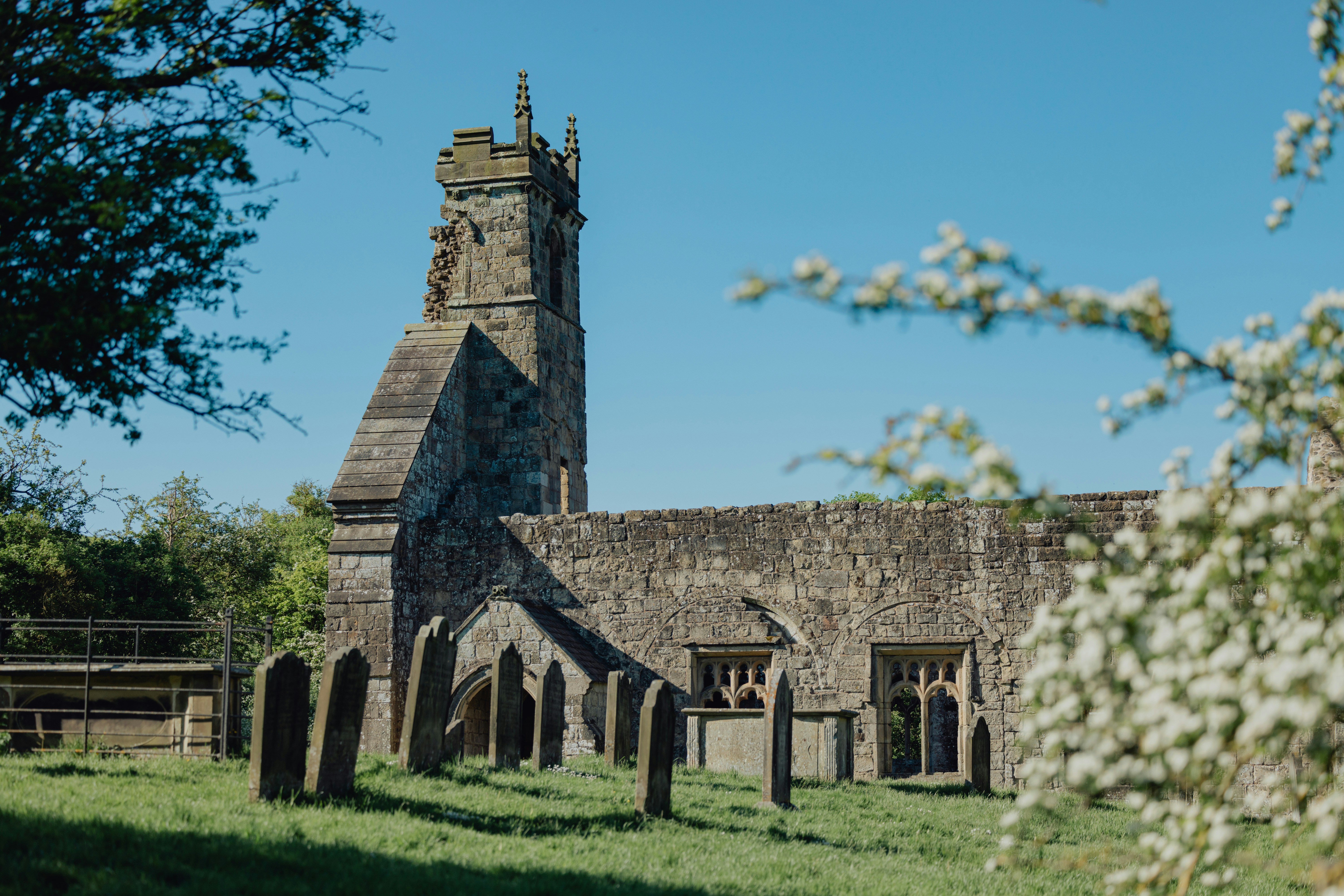 Photo by lukethorntonofficial