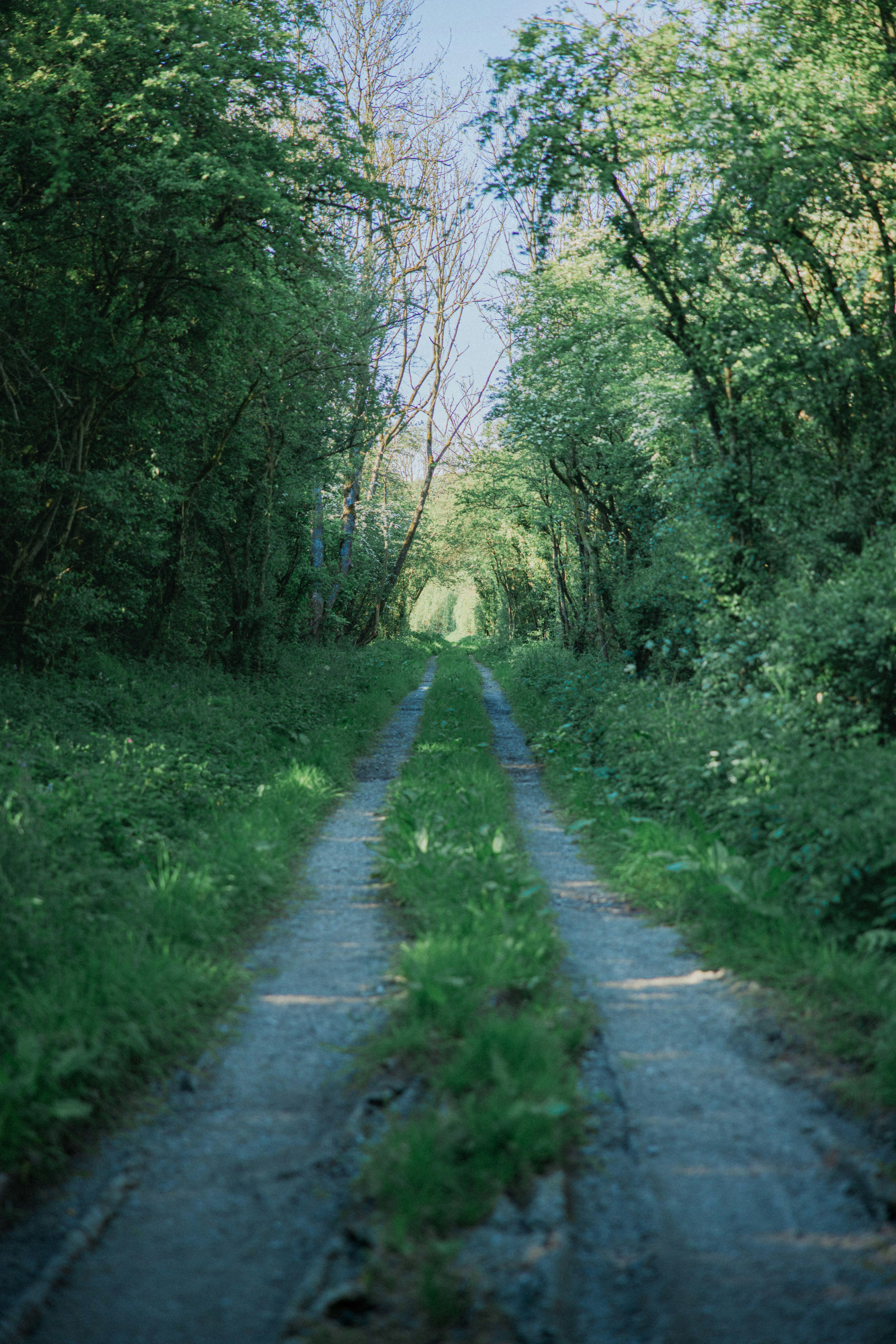 Photo by lukethorntonofficial