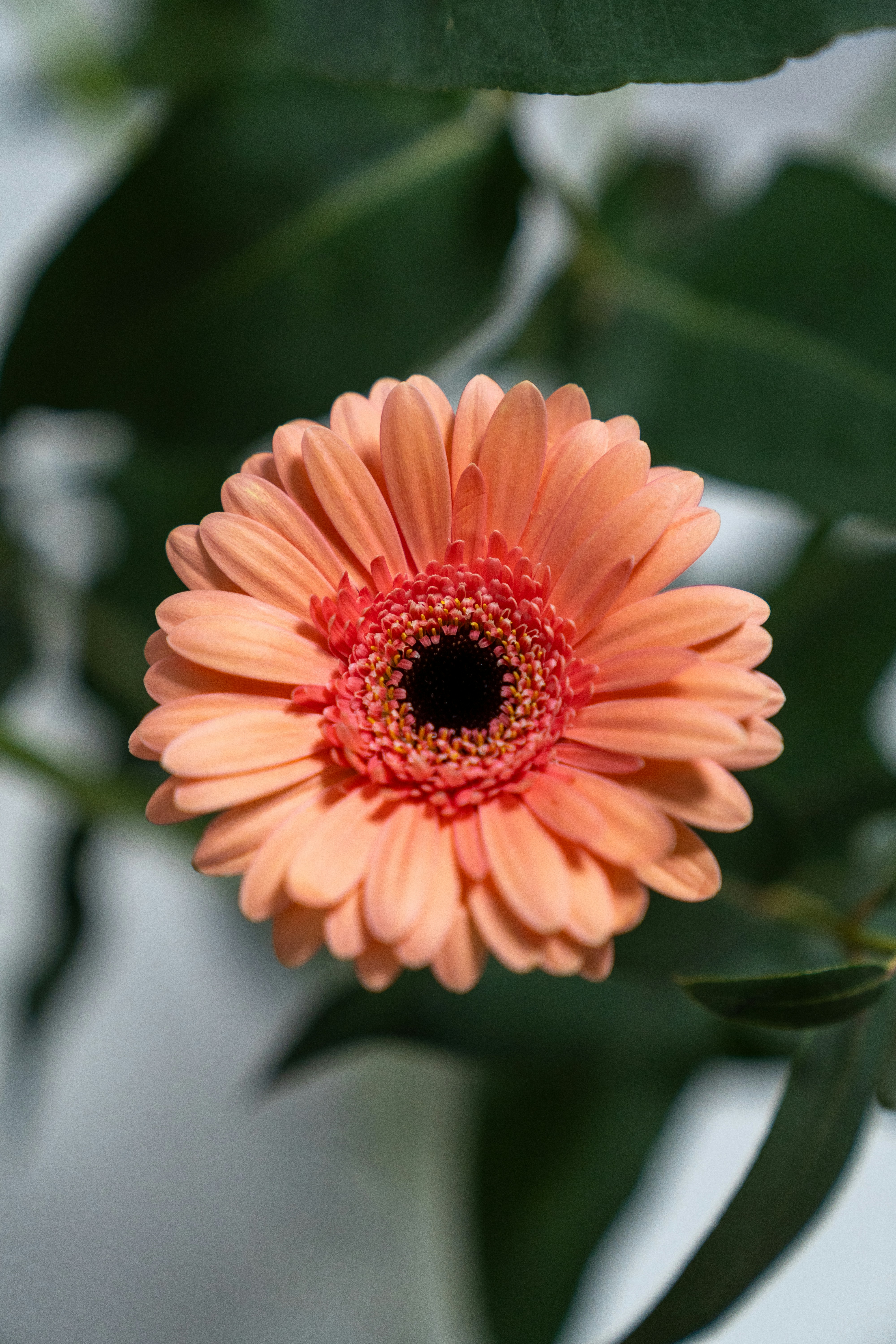 Photo by bangscreative