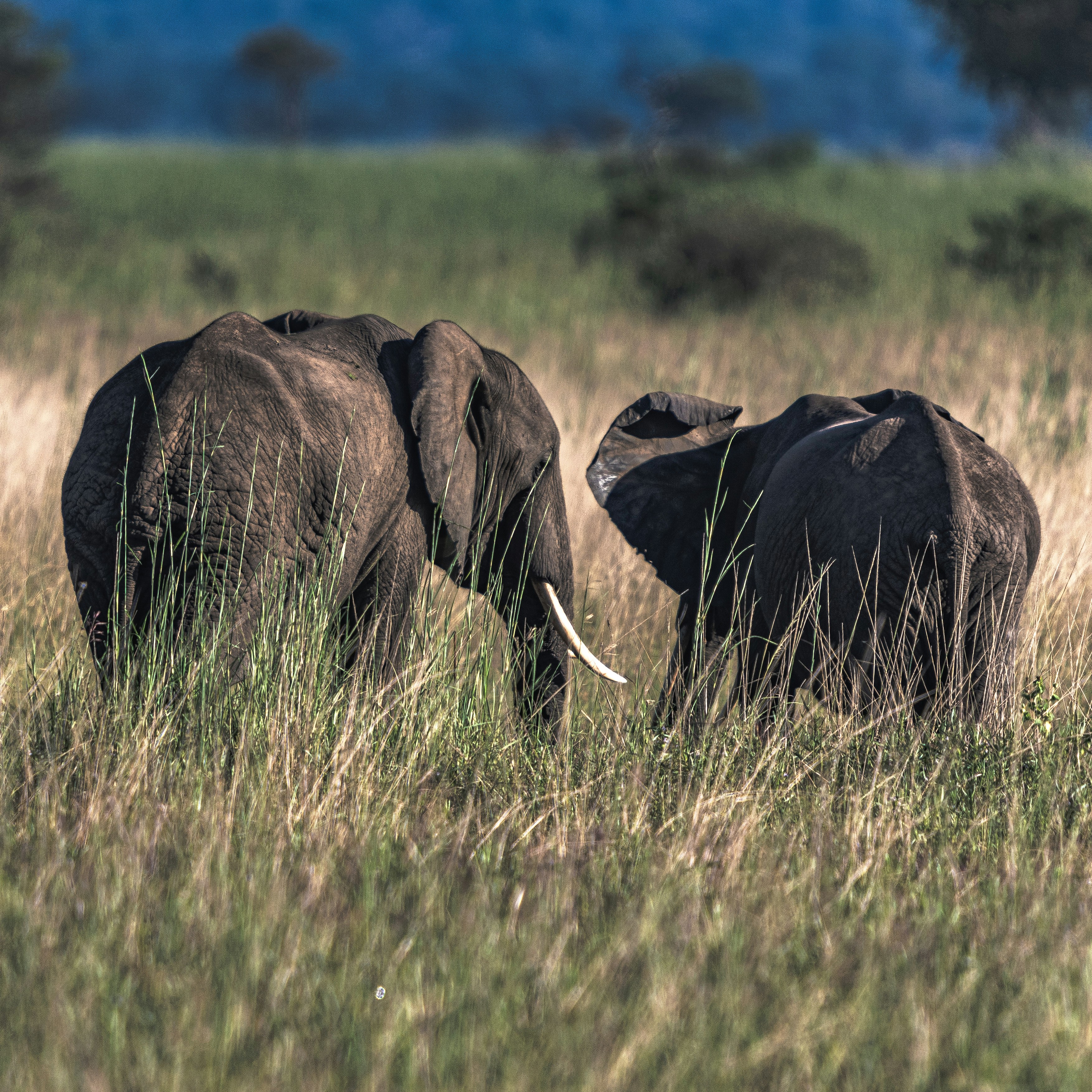 Photo by starkie_pics