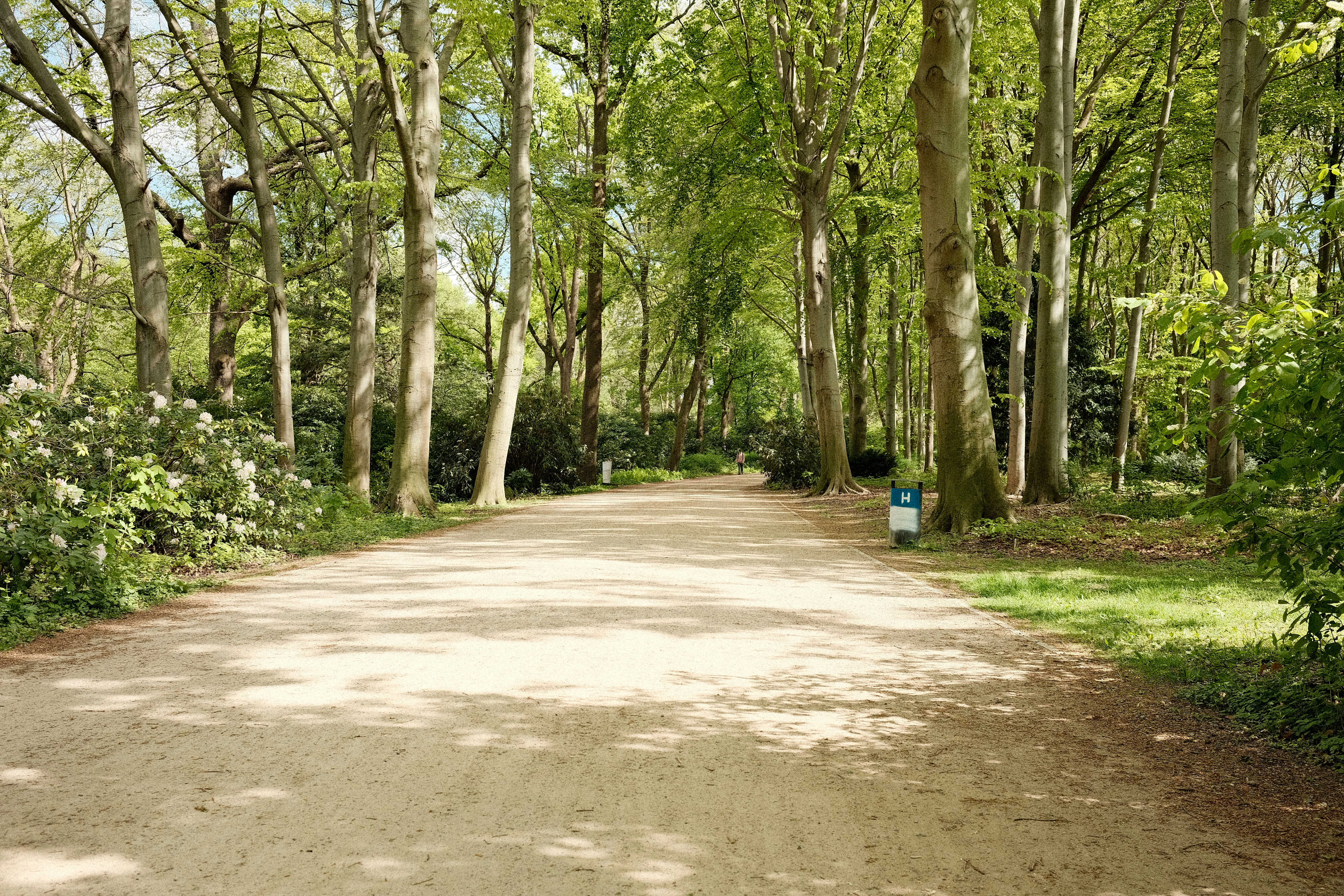 Photo by valentinlacoste