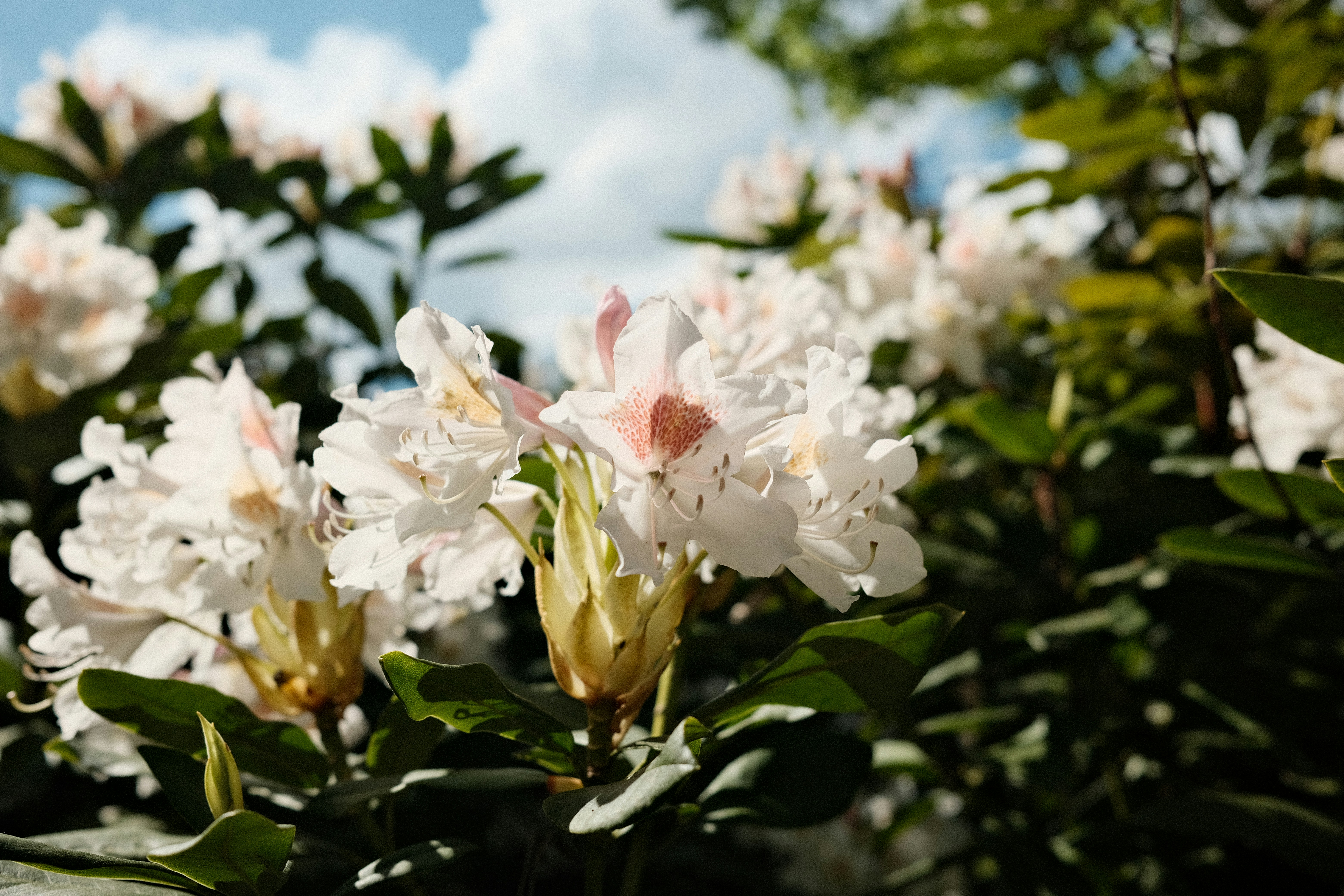 Photo by valentinlacoste