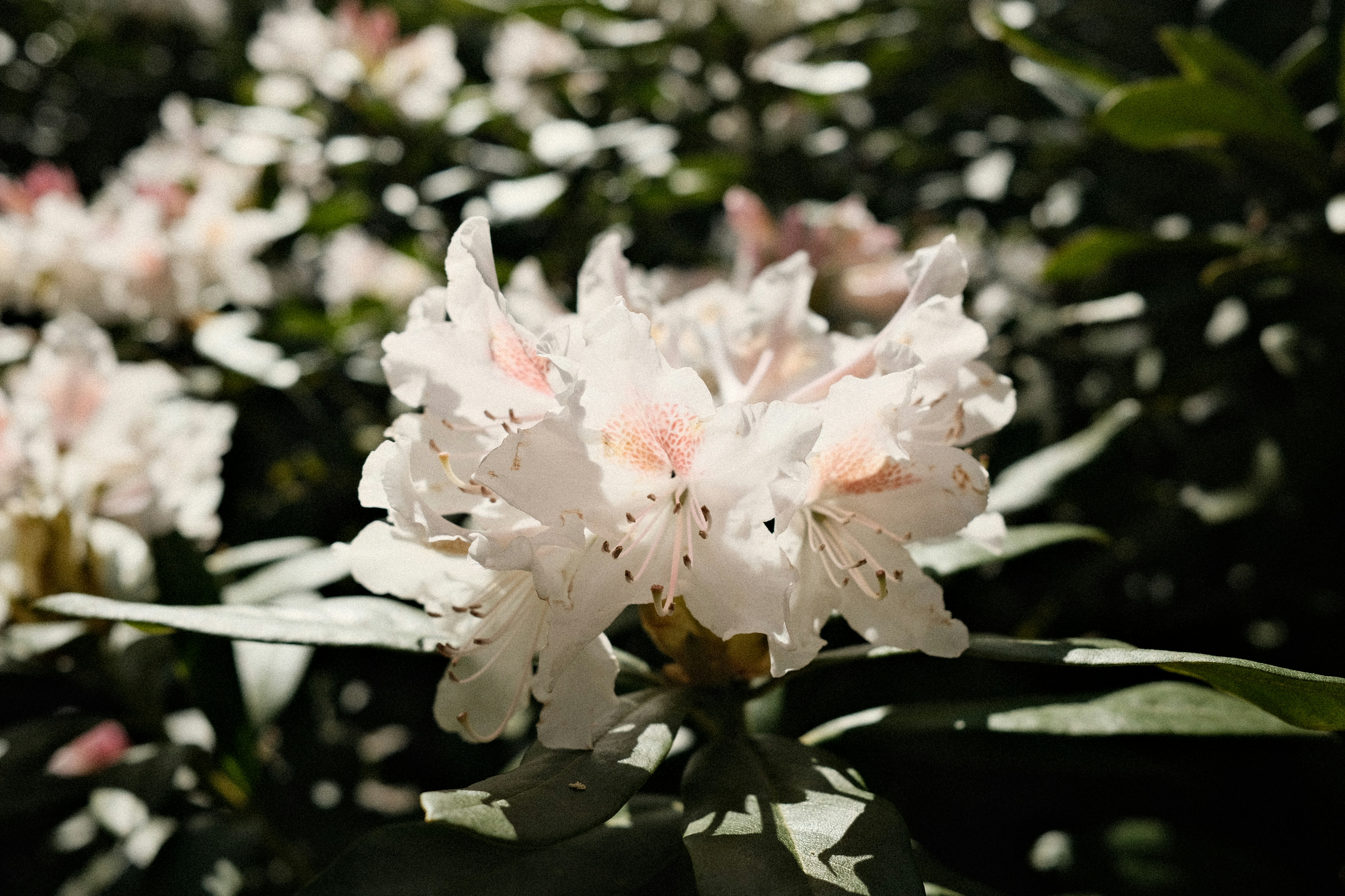 Photo by valentinlacoste