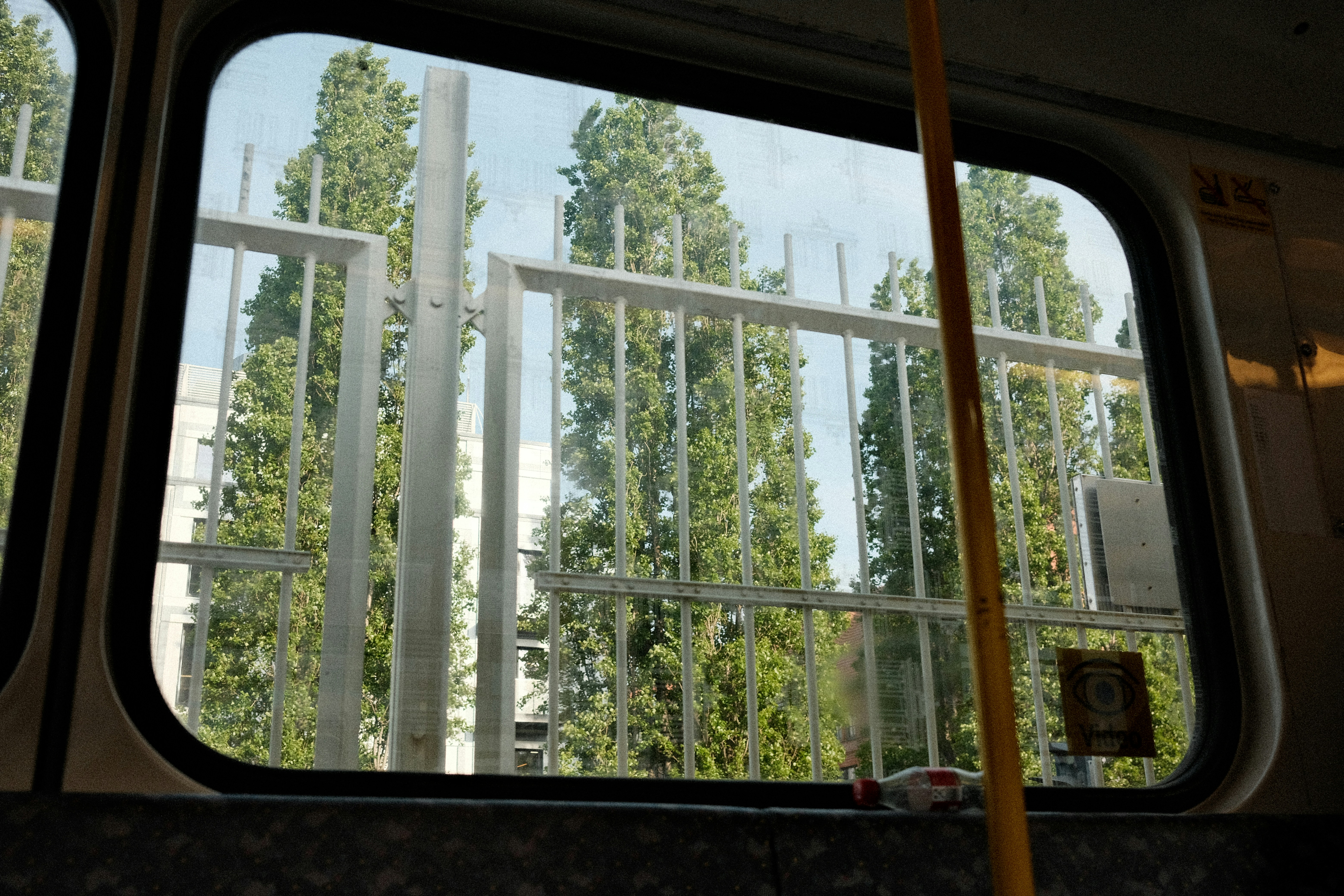 A view of trees through a window of a bus photo – Free Grey Image on ...