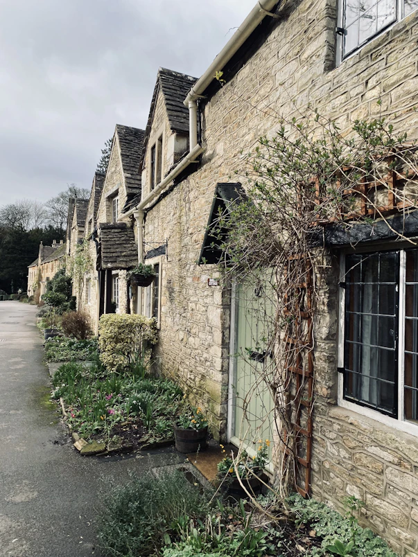 a row of stone houses with vines growing on the windows