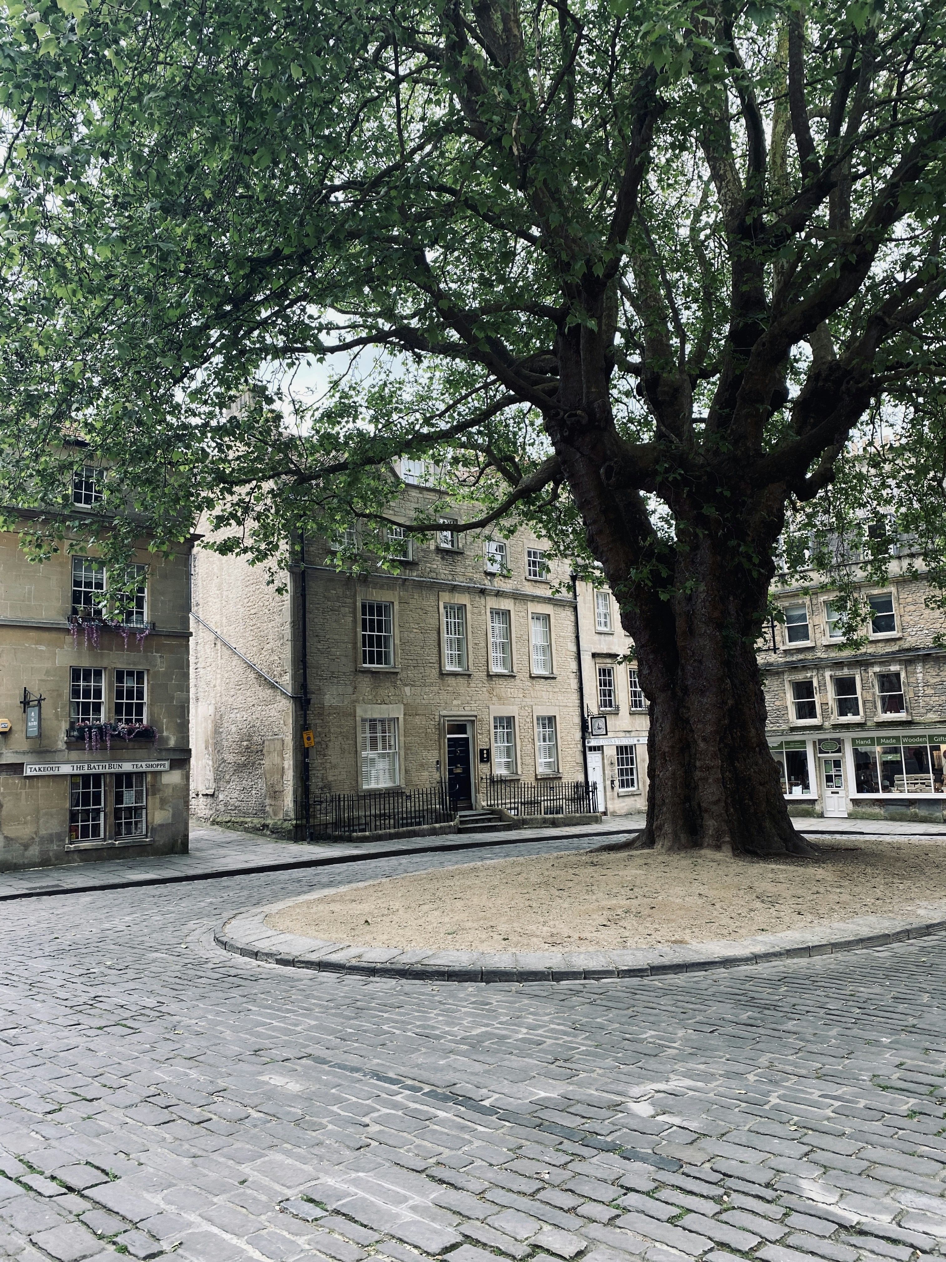 a large tree sitting in the middle of a courtyard