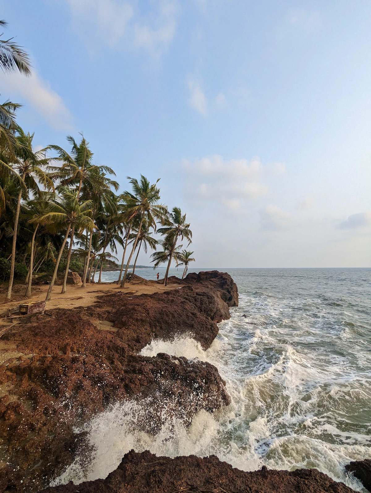 Peaceful tropical shore and ocean view at Morjim Beach Goa