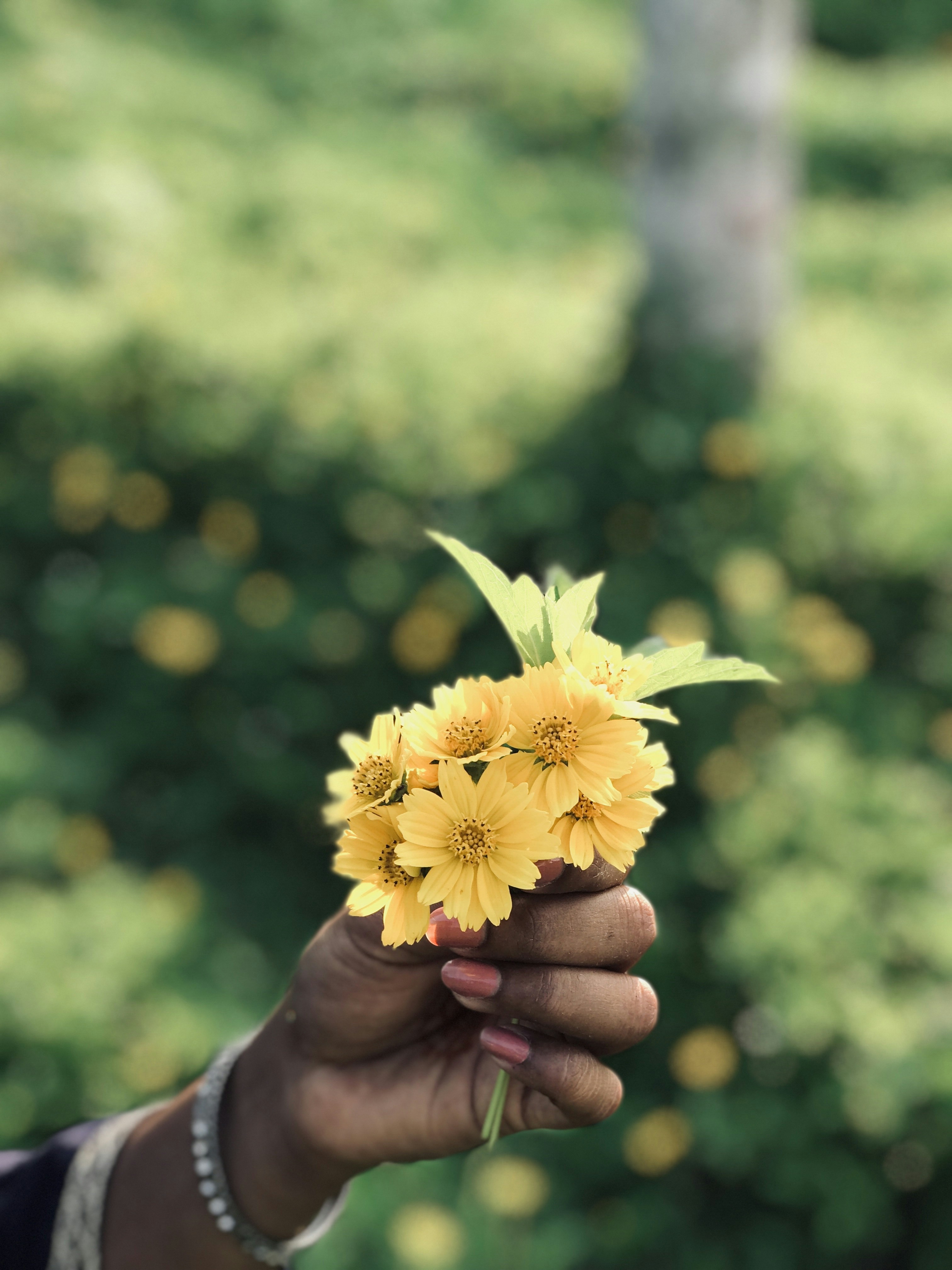 Photo by amalabdullacm