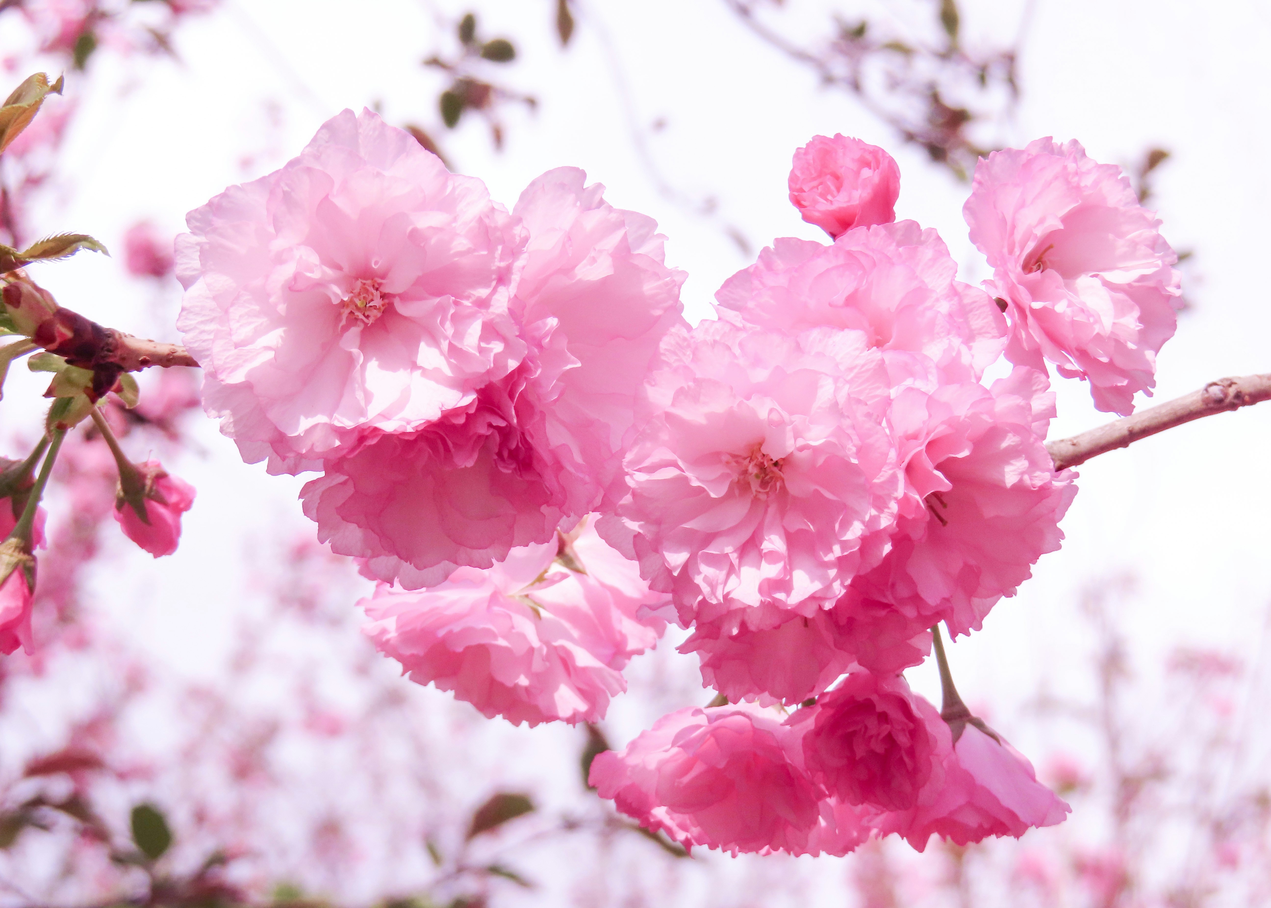 Photo by todayzcapture