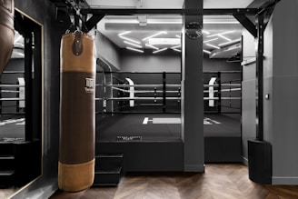a boxing ring with a punching bag in the middle of it