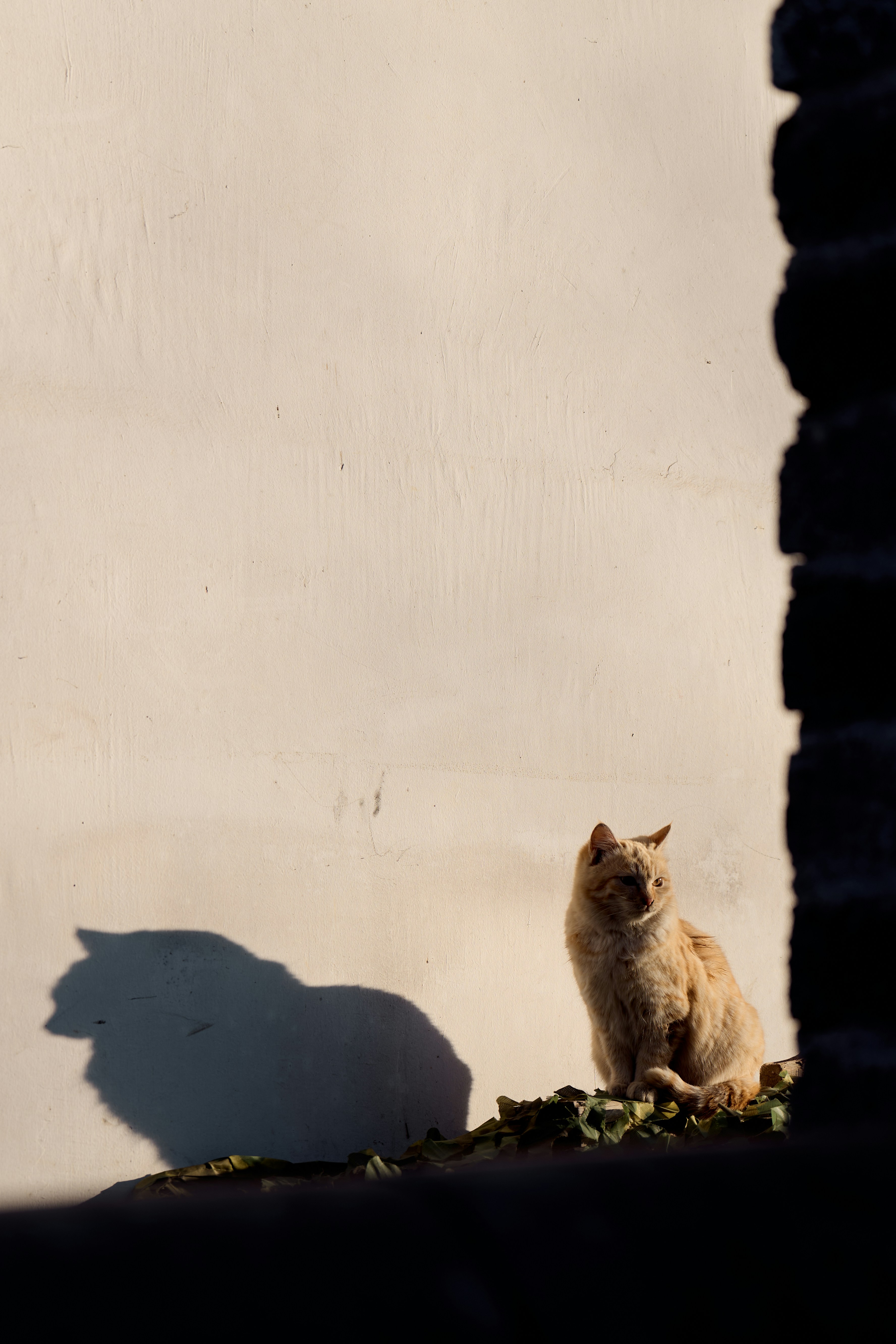 Photo by haydenlllam