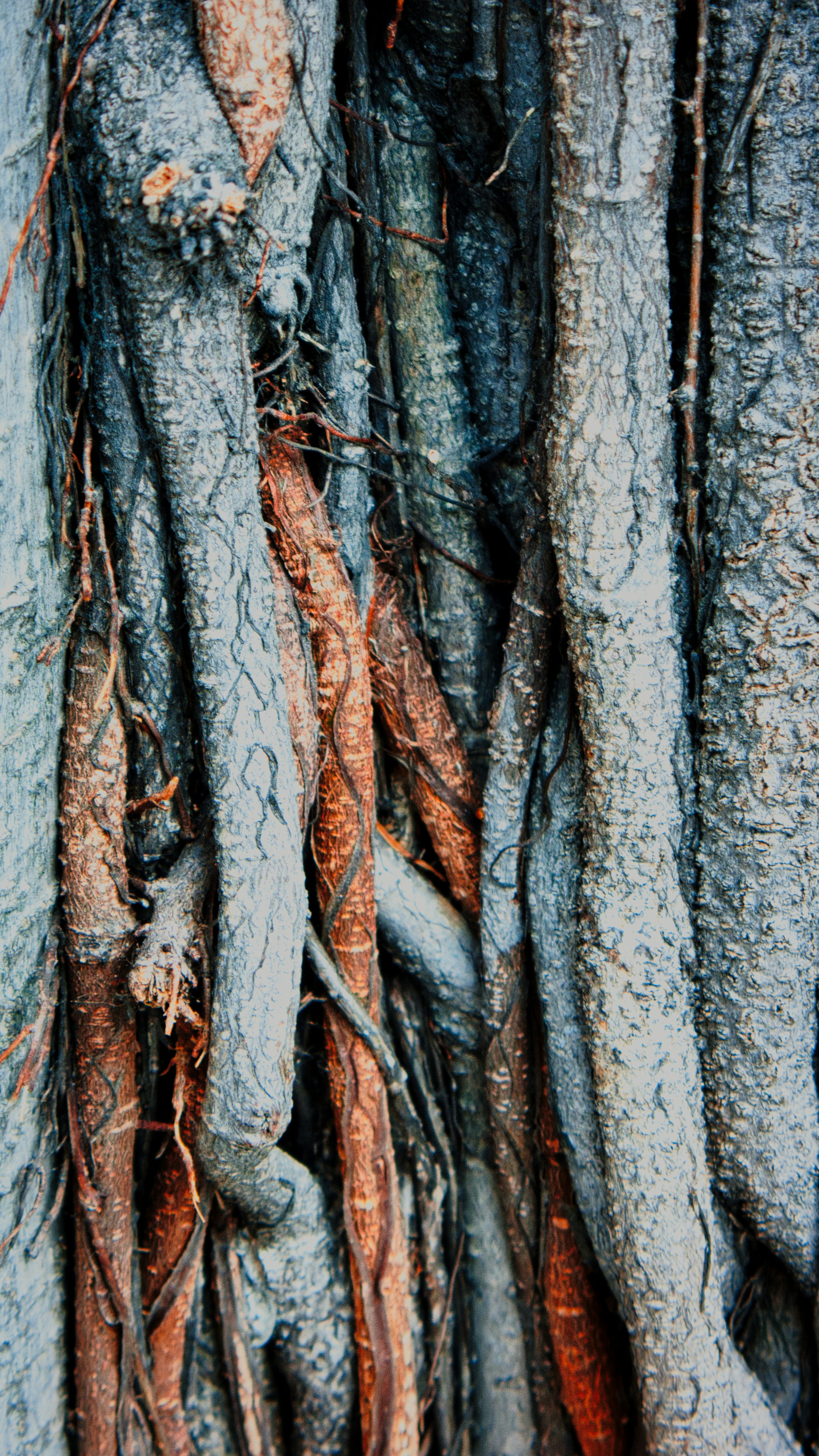 Photo by thomaskinto