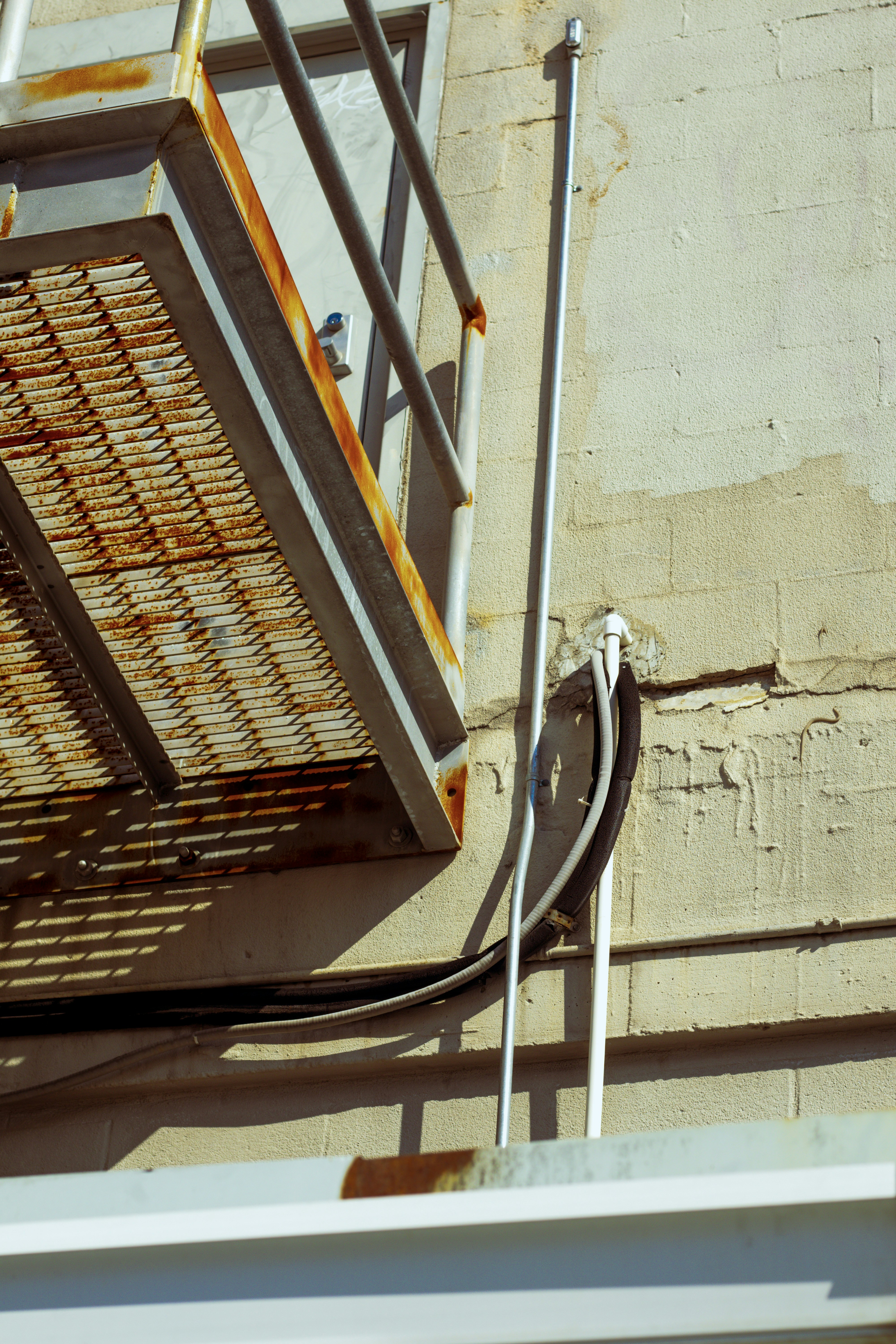 Photo by shonrosewood