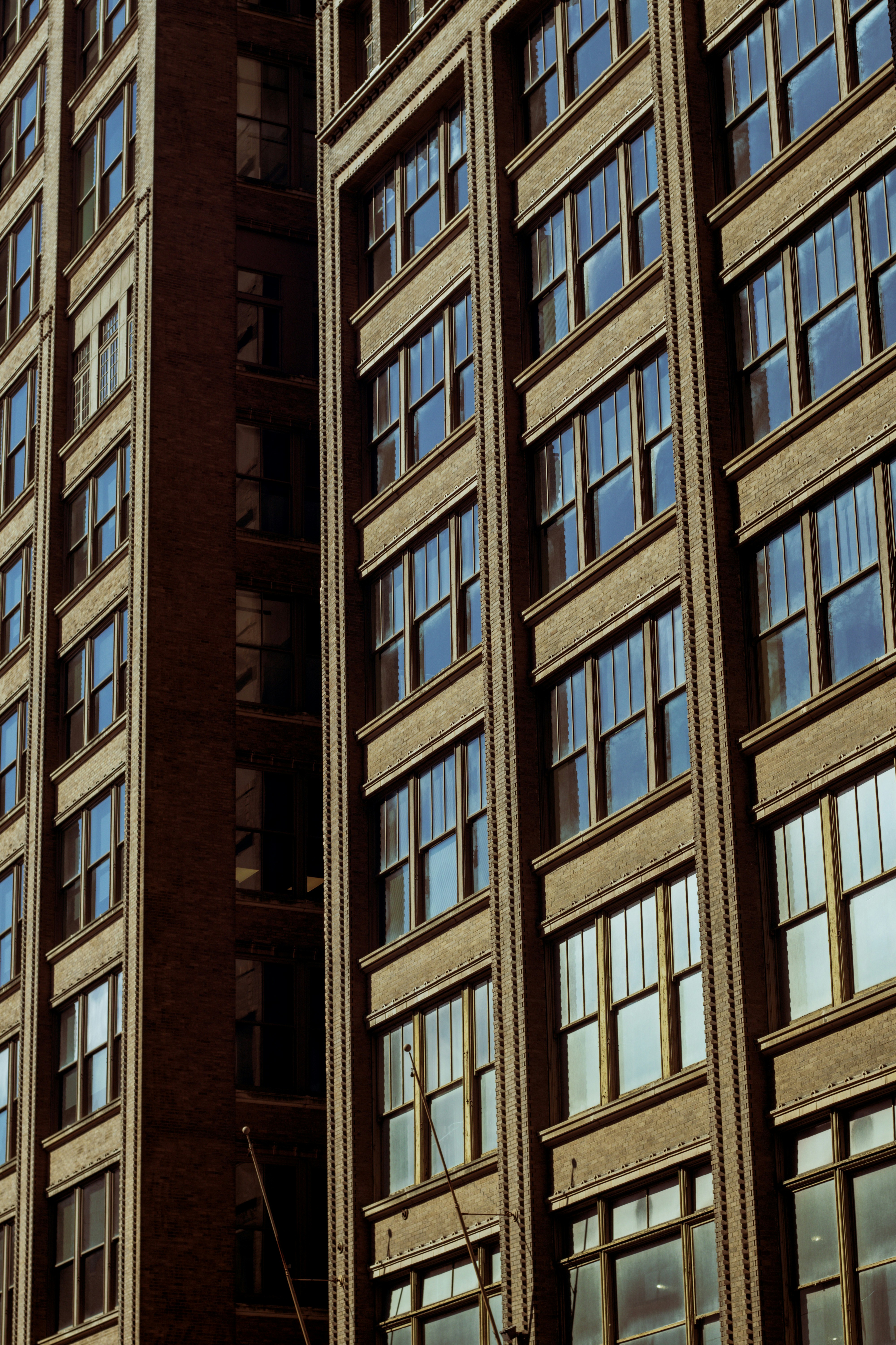 Photo by shonrosewood