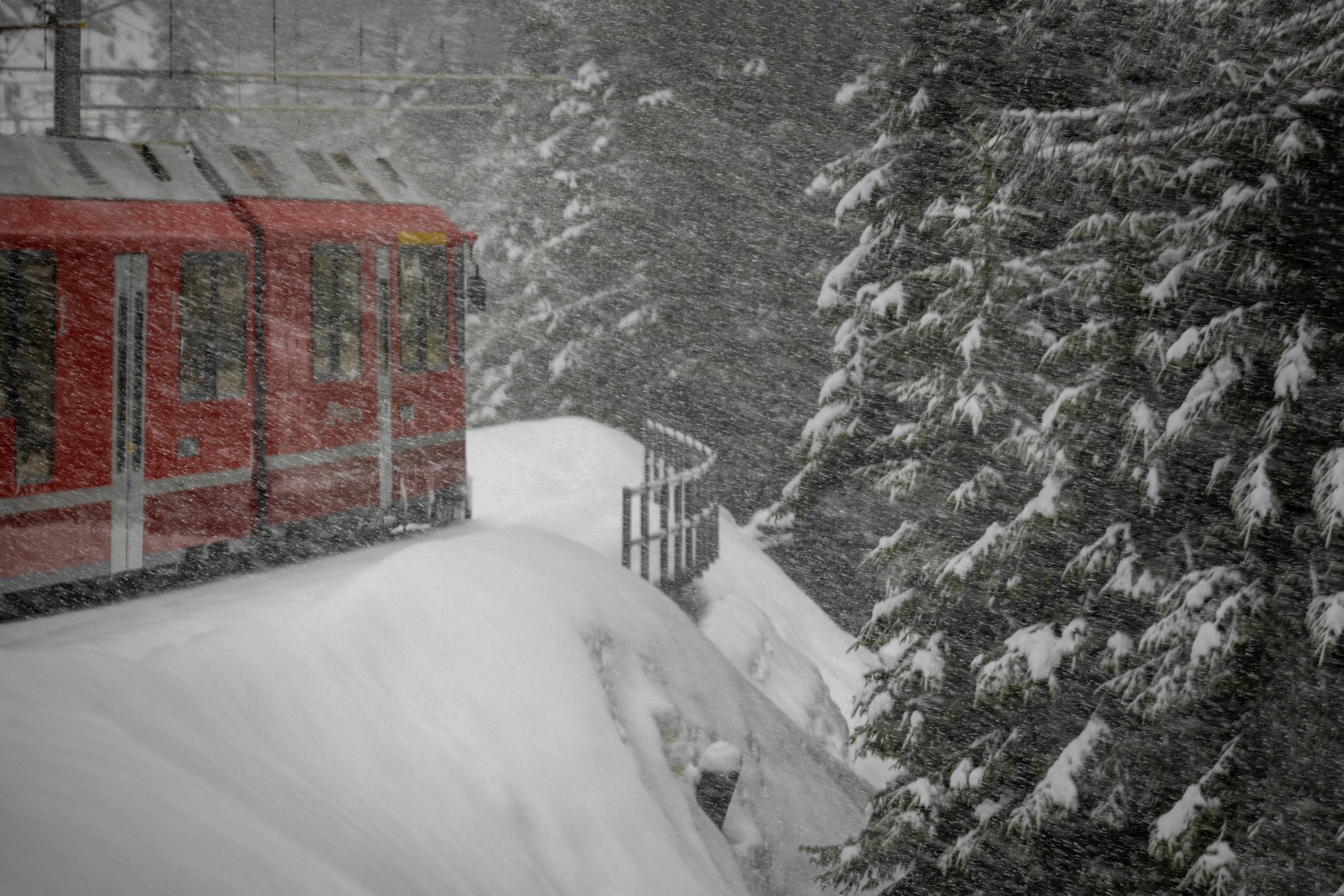 a red train traveling through a snow covered forest