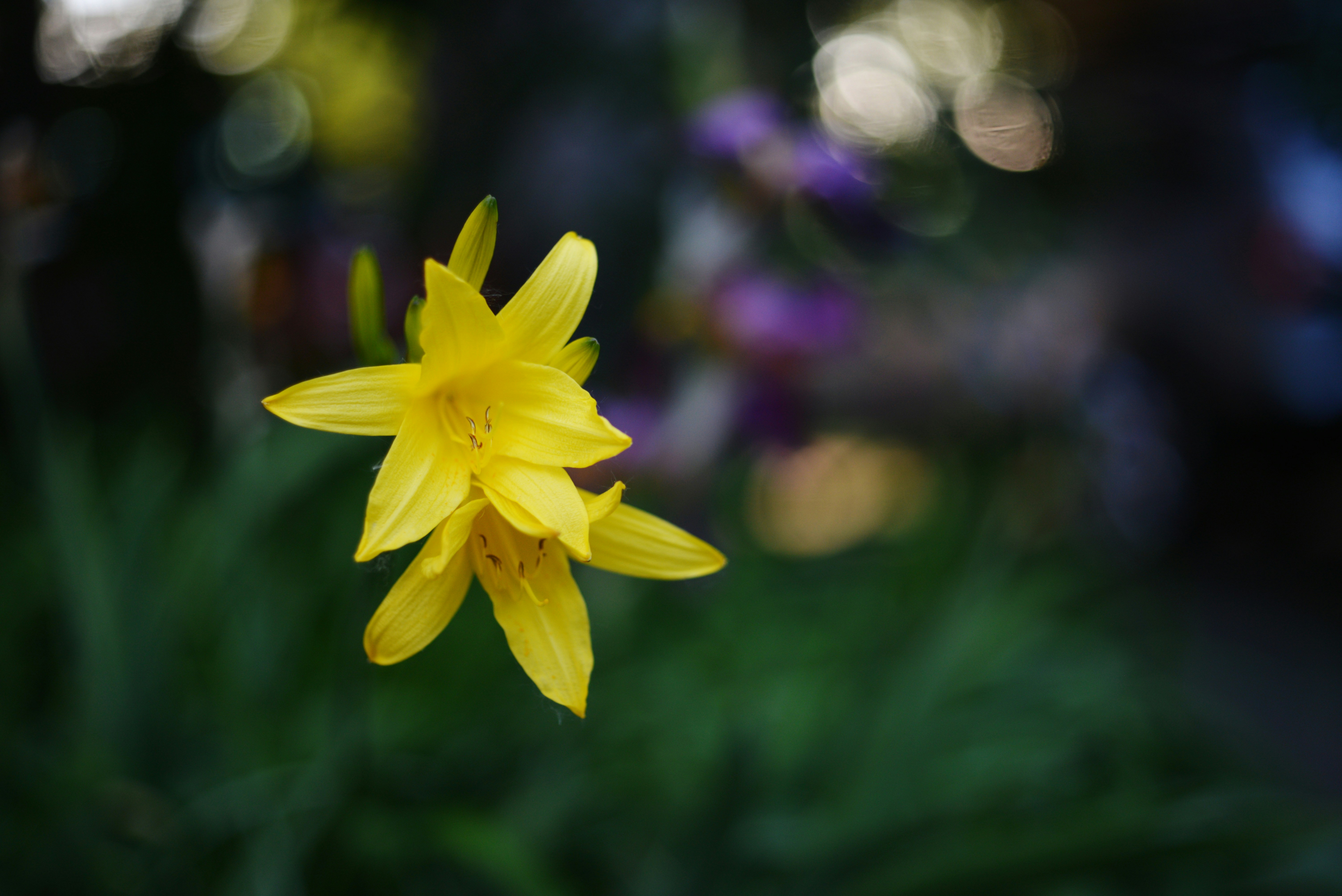 Photo by cherstve_pechivo