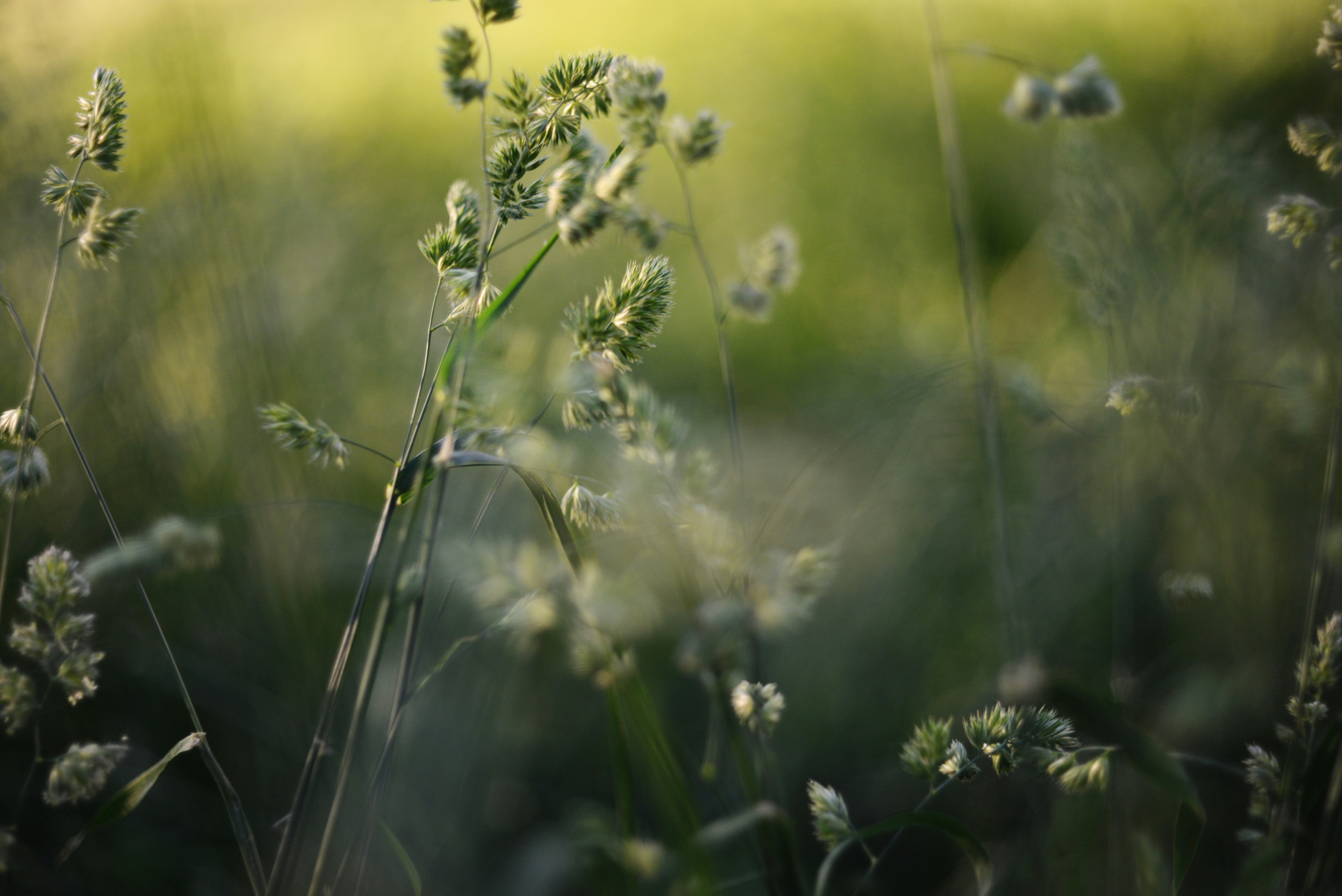 Photo by cherstve_pechivo