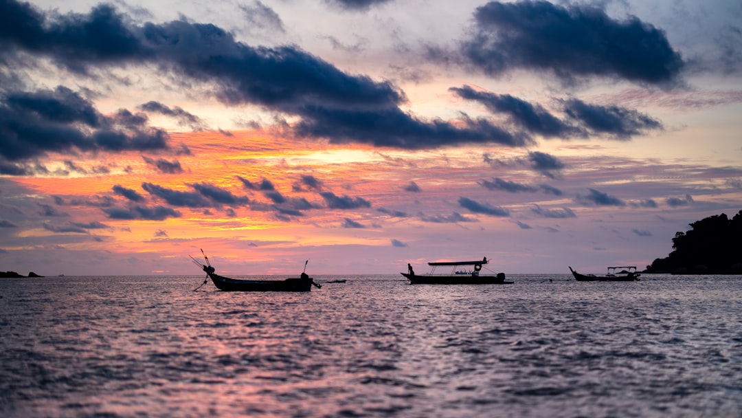 a group of boats floating on top of a body of water,