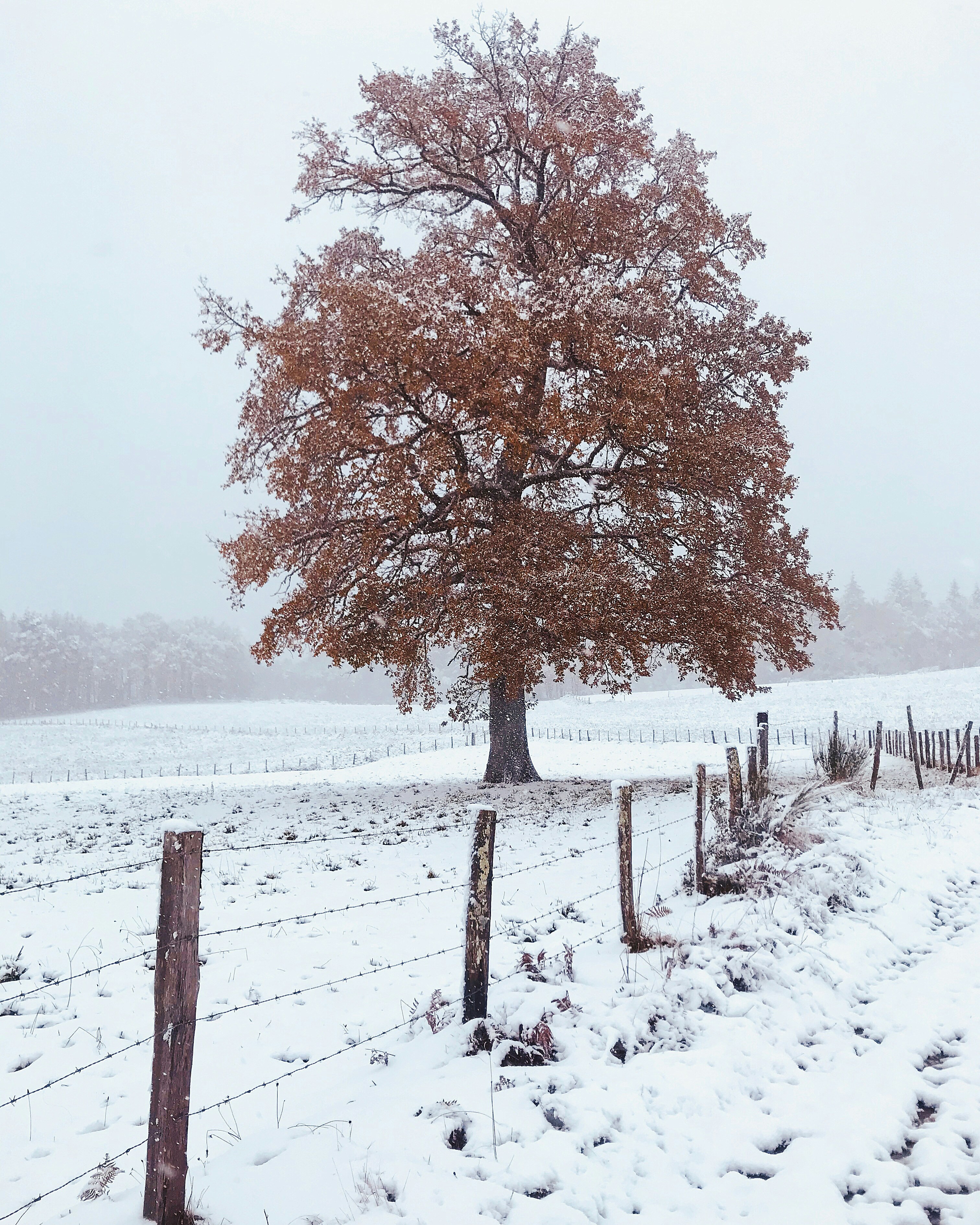 Photo by artofnature