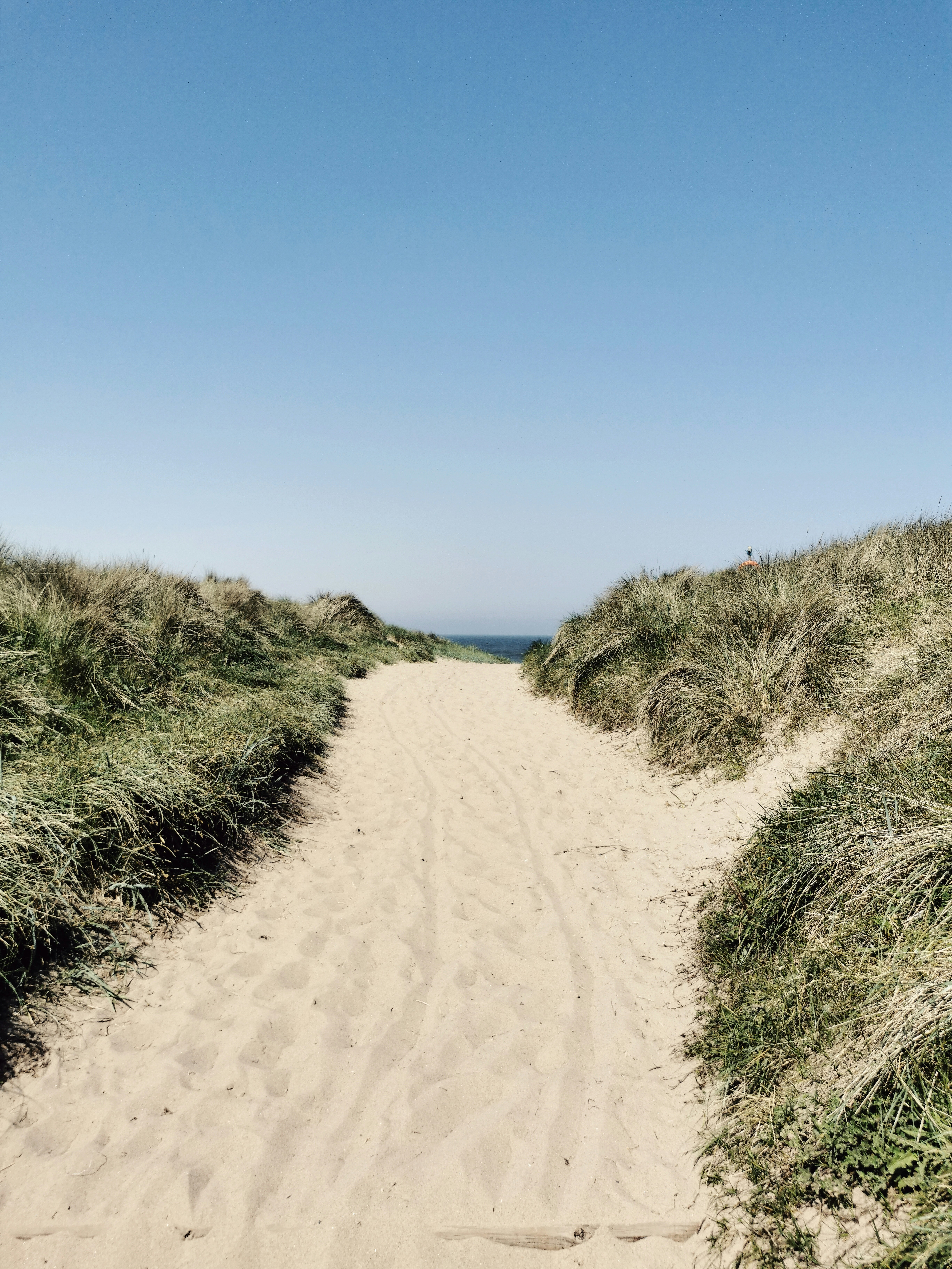 Photo by dloftusphoto