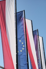 a bunch of flags that are flying in the air