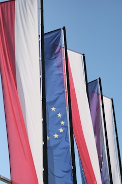 a bunch of flags that are flying in the air