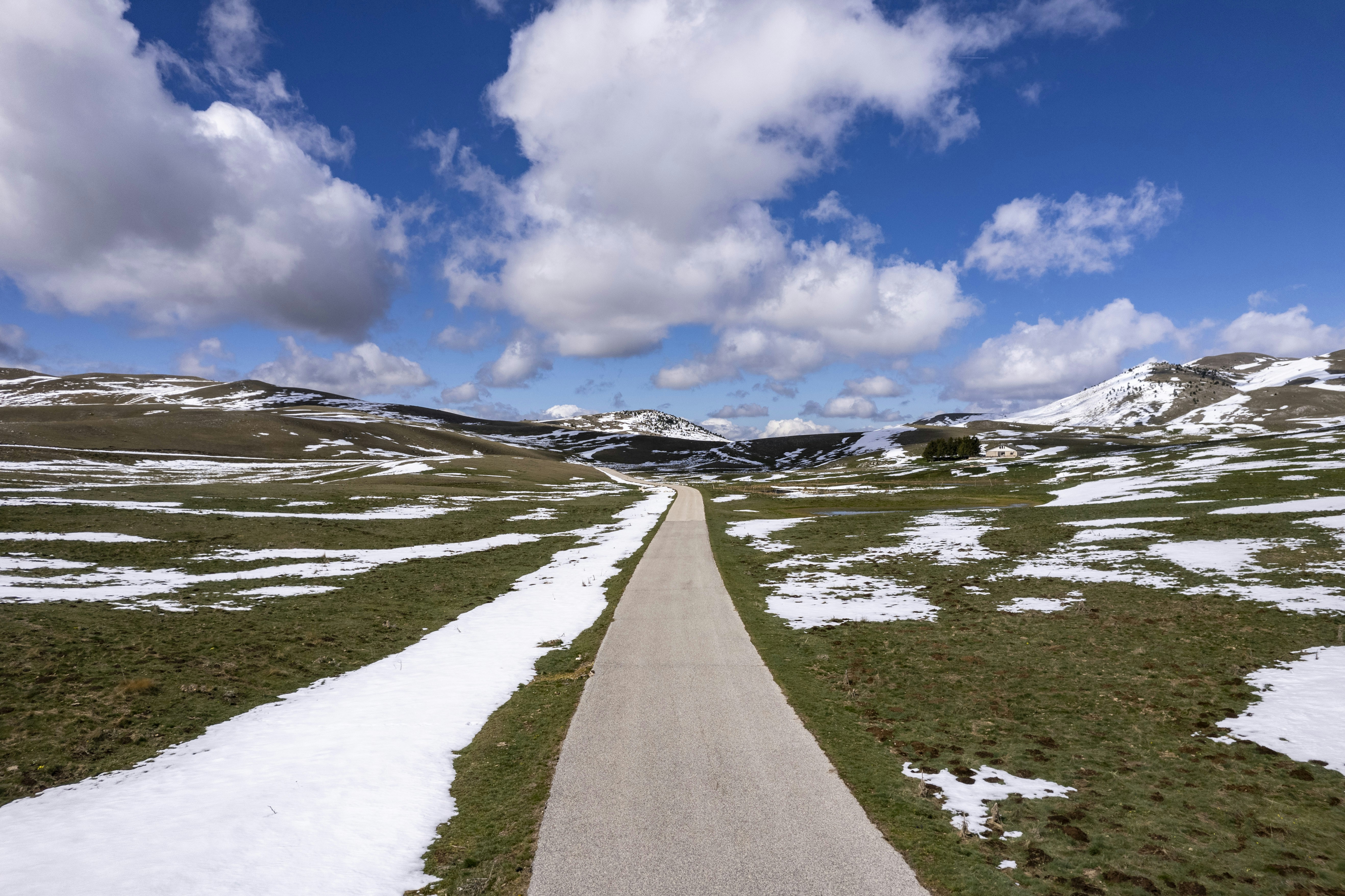 Photo by jddartphotographer