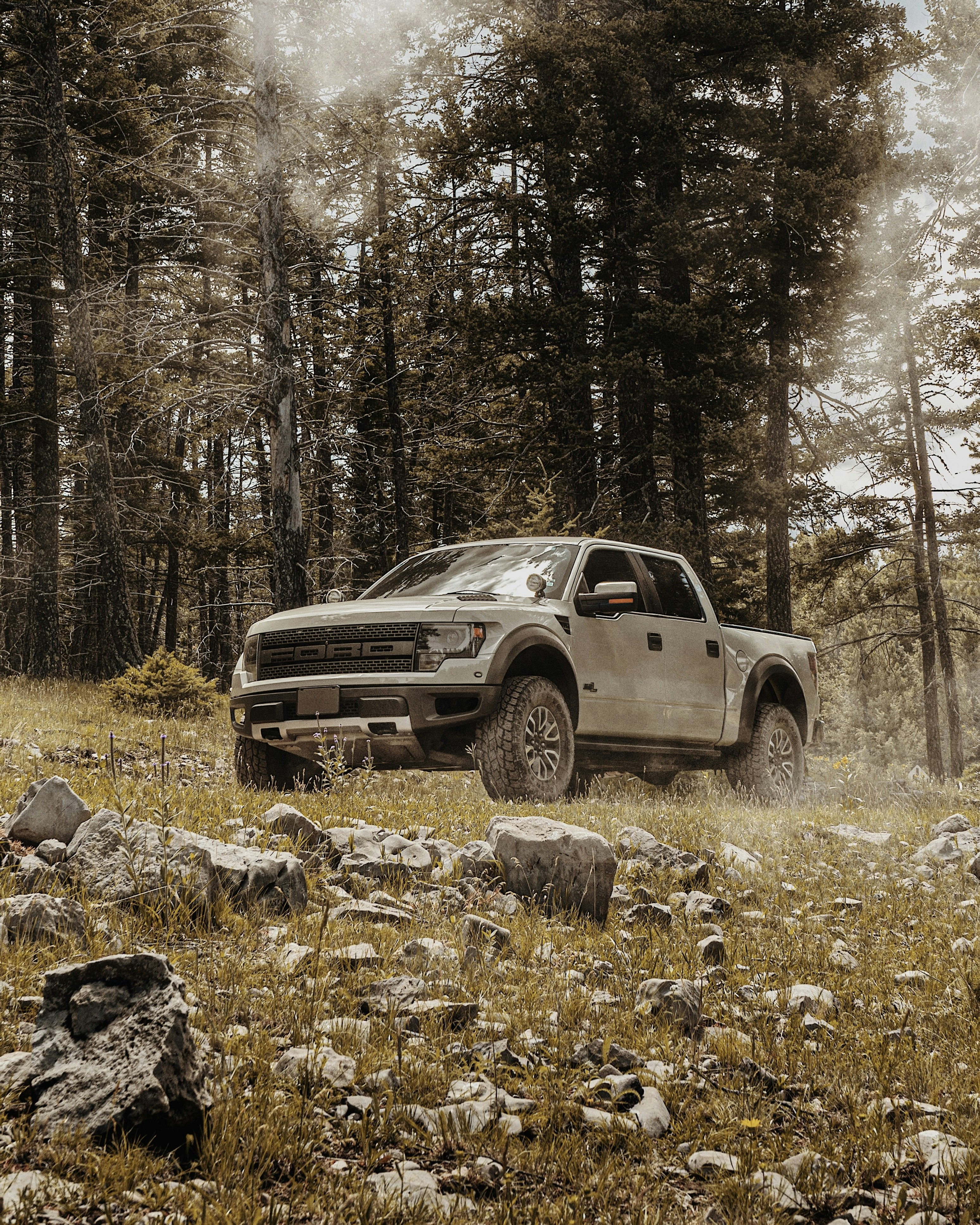 un camion argenté traversant une forêt remplie d’arbres