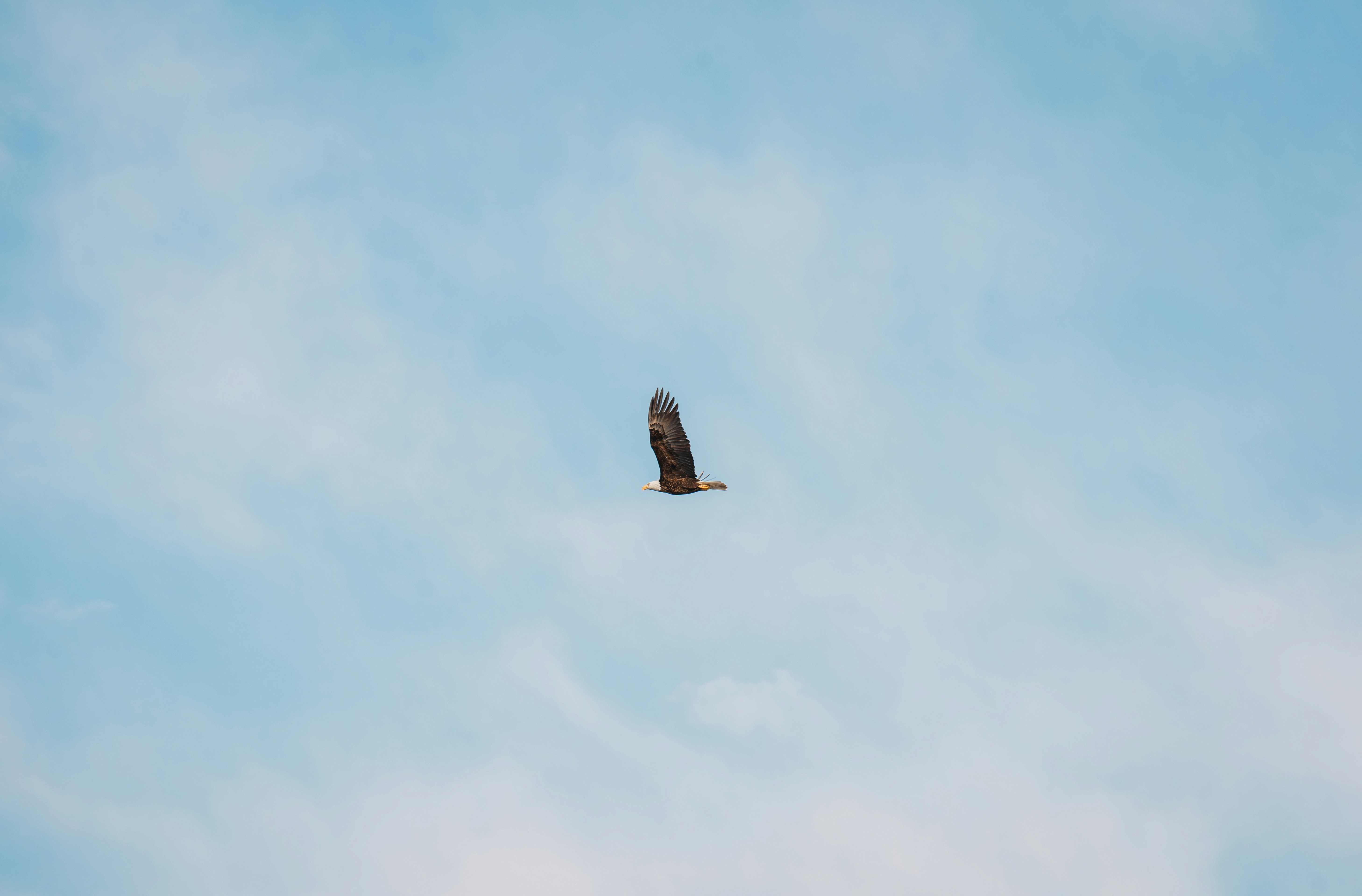 Photo by iprefermike