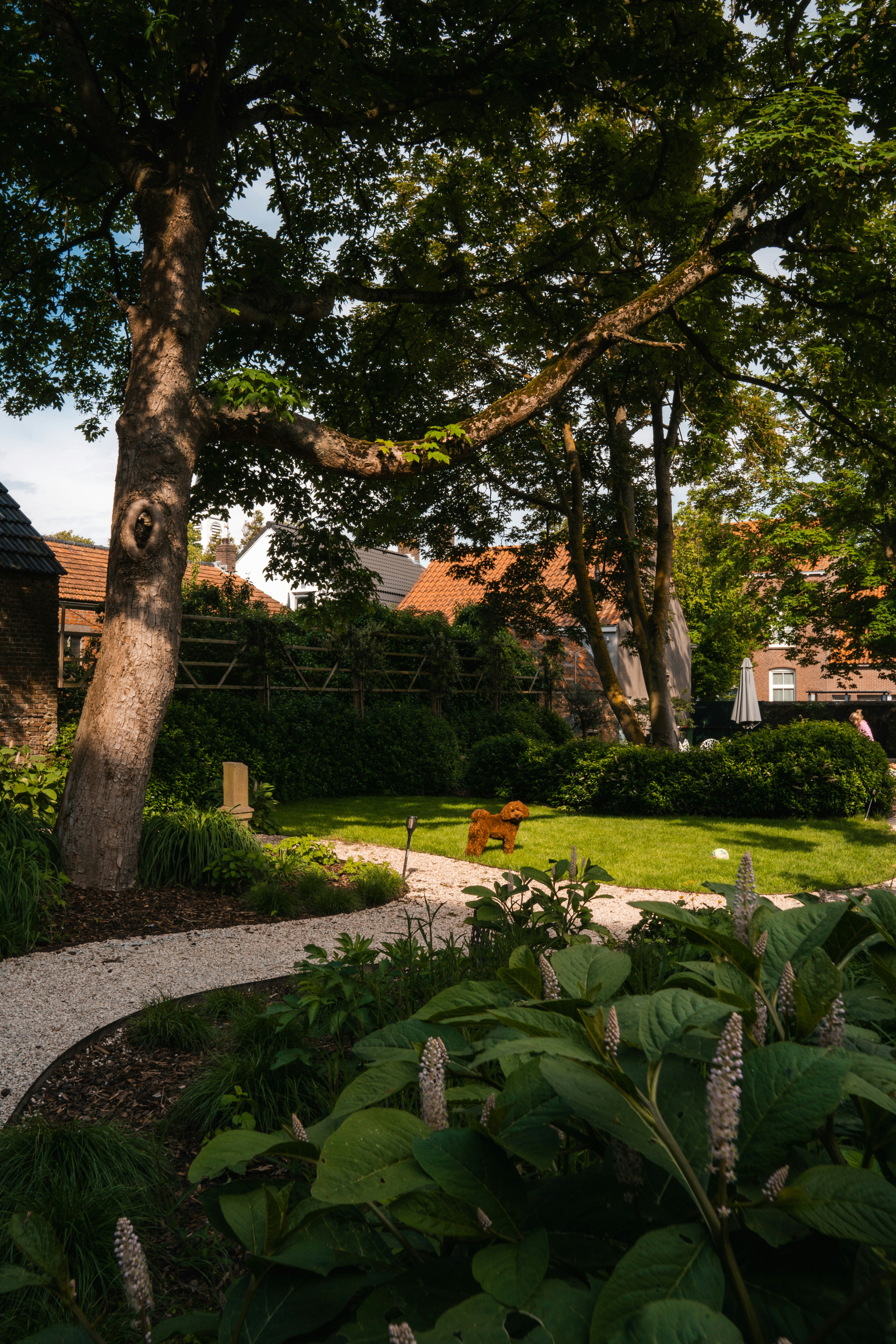 a garden with a path and a tree