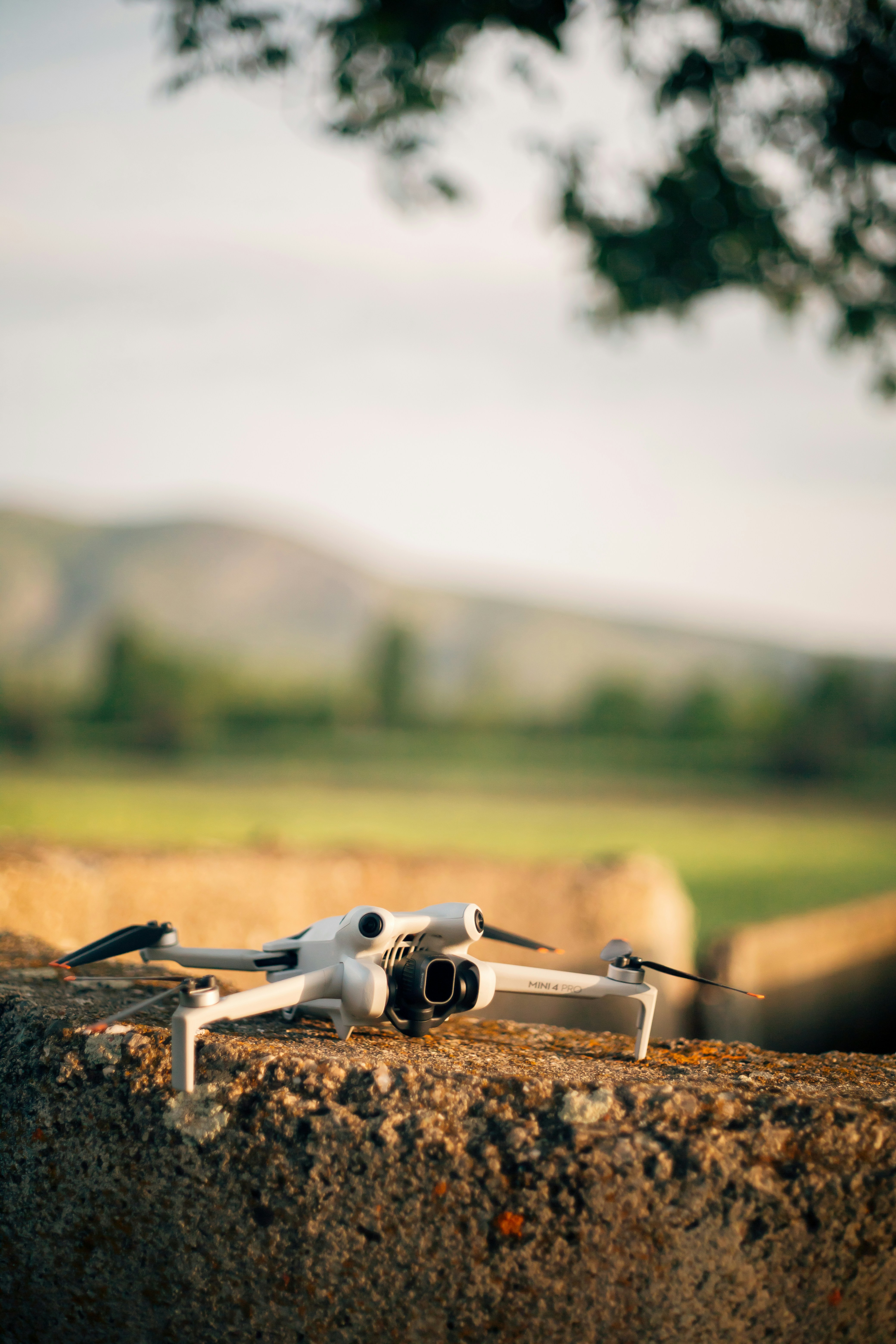 Drones in the Sky: Revolutionizing Urban Gardening in 2025