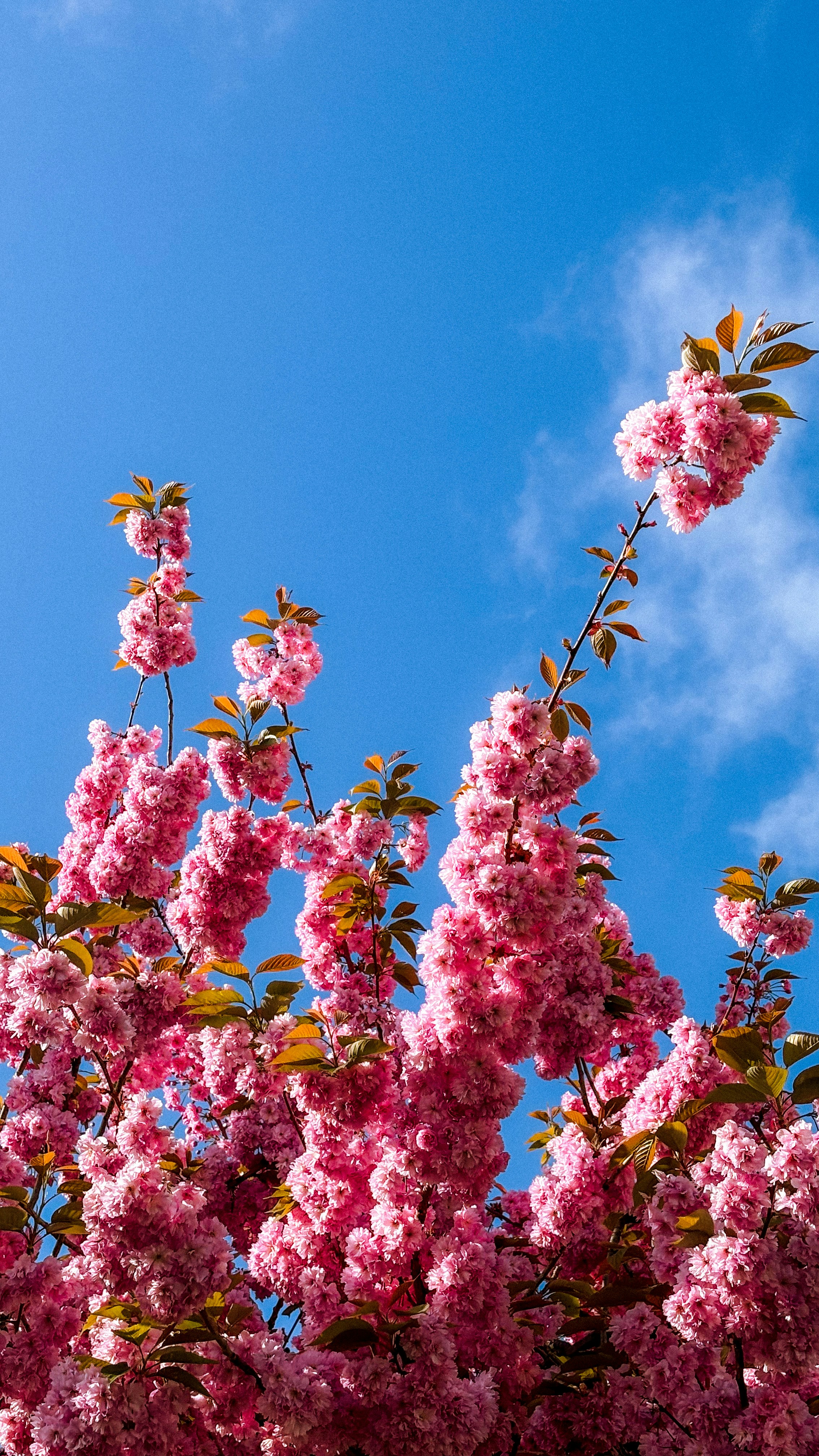 Photo by jamiekettle10