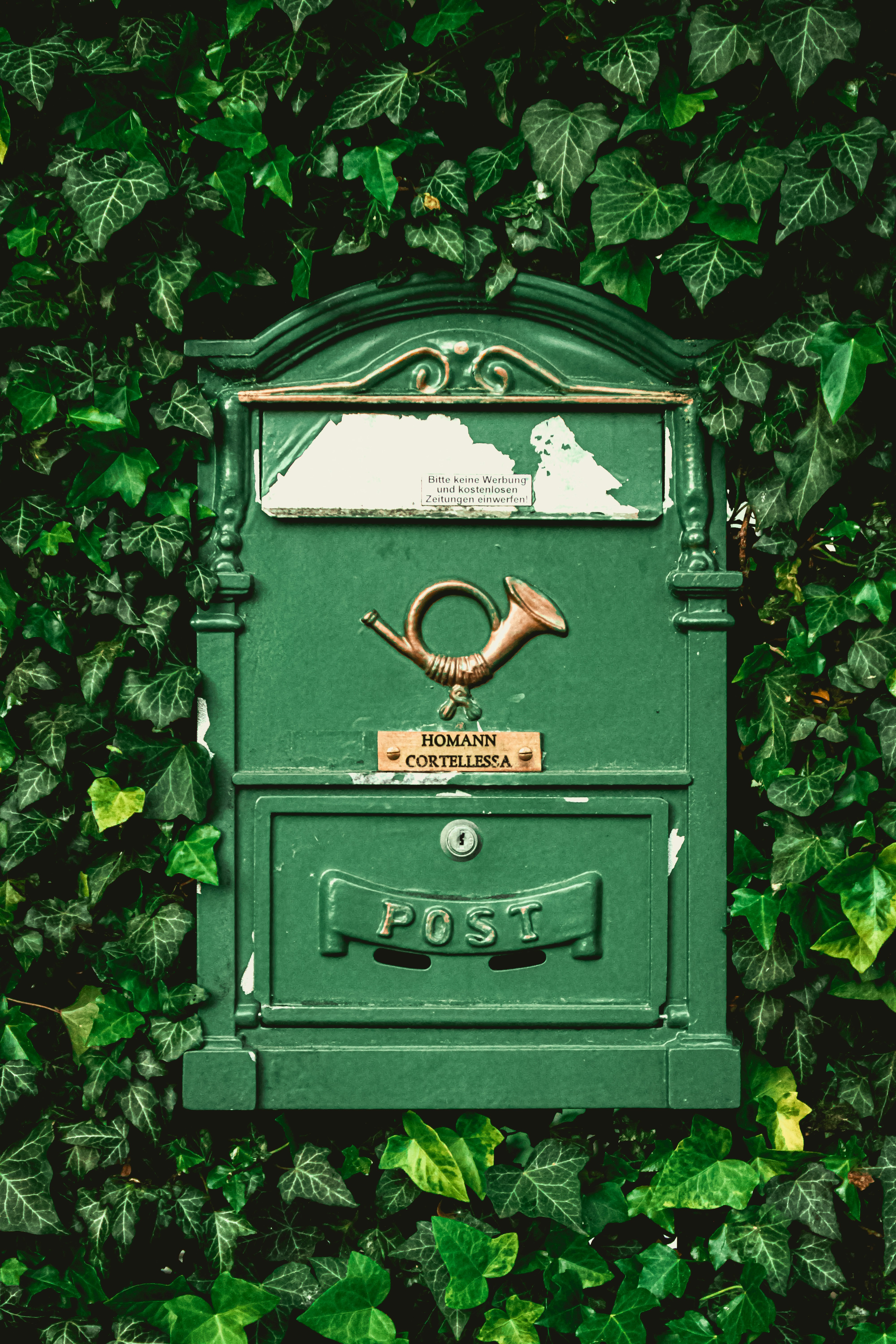 Photo by kurkovakira