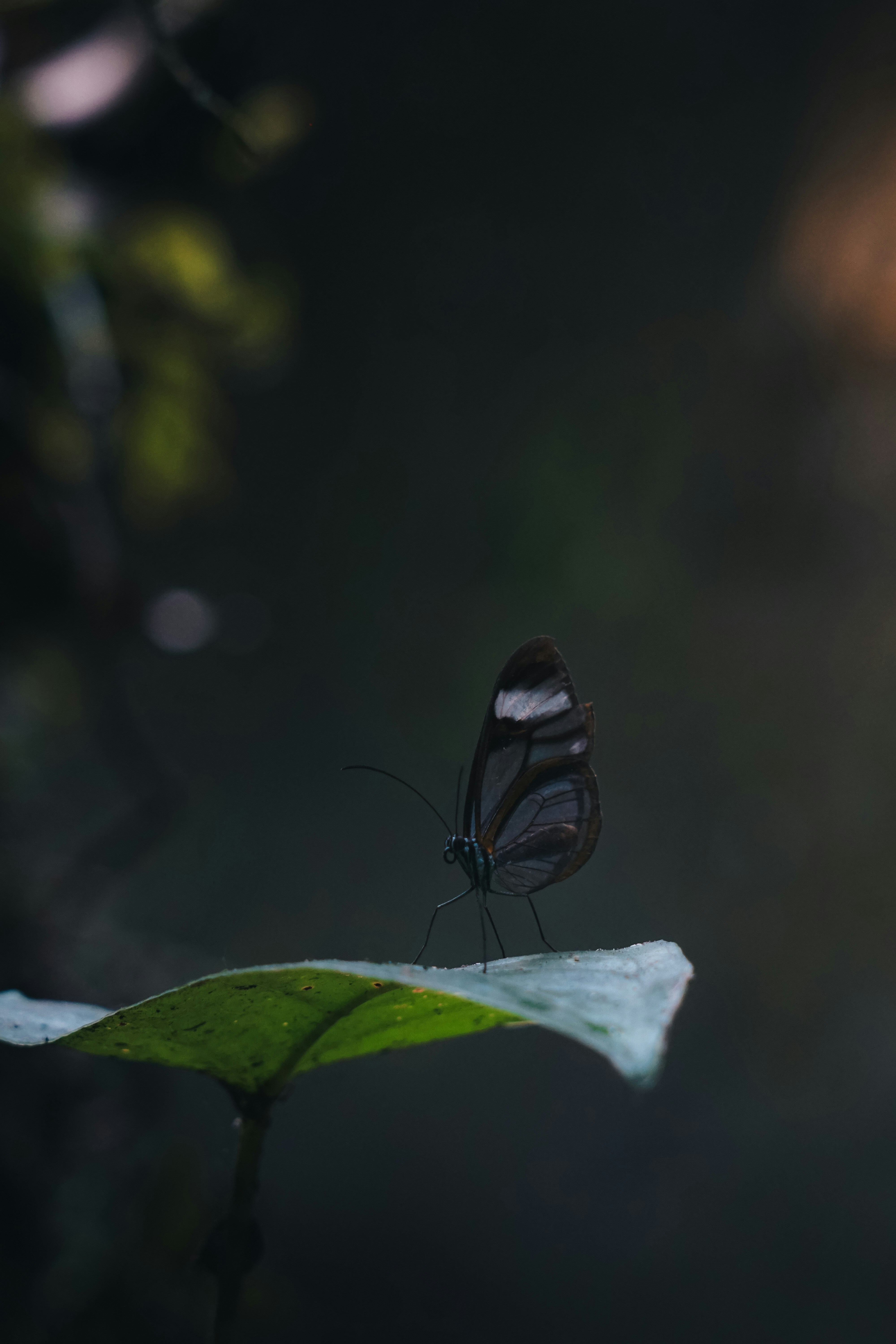 Photo by sandertraa