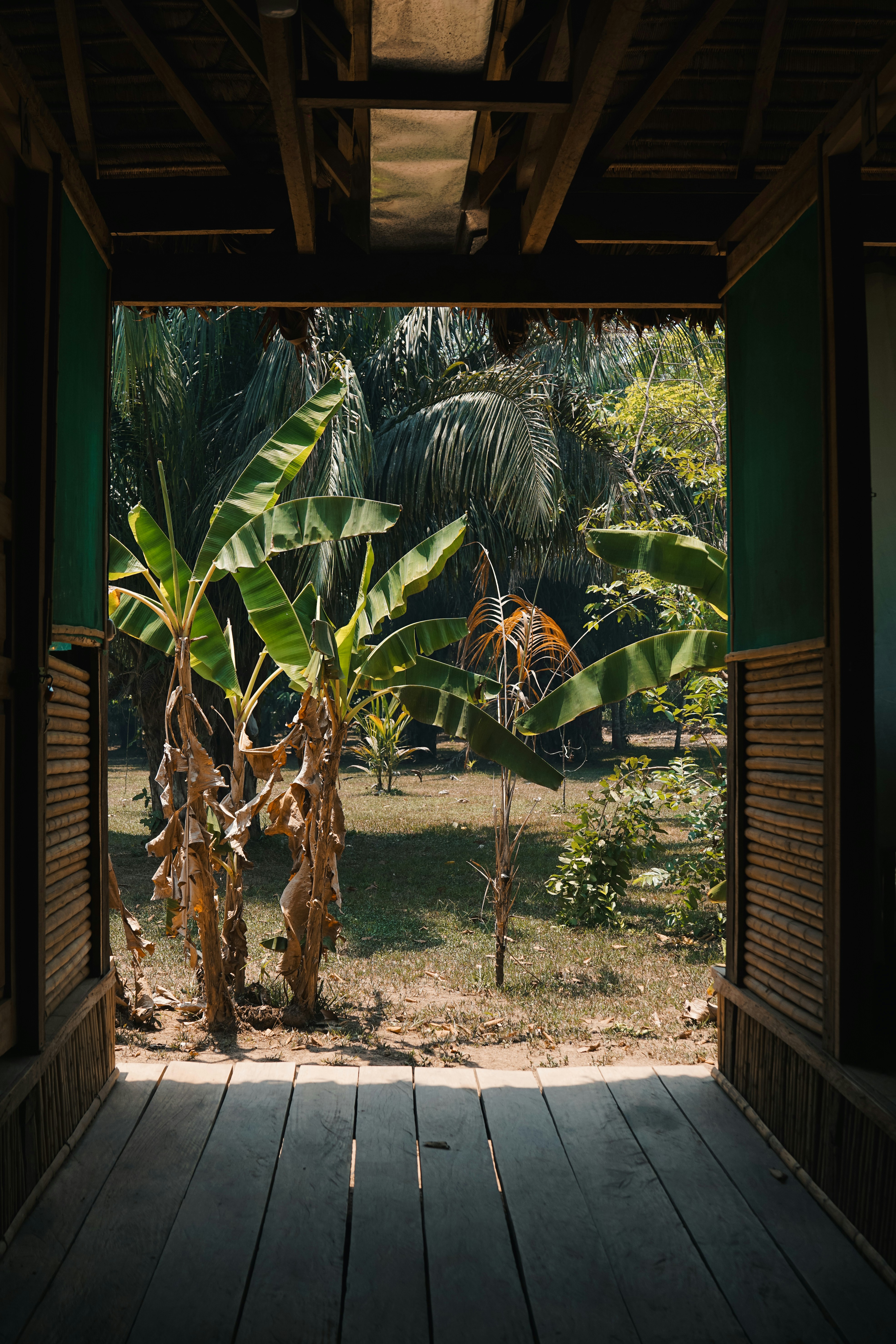 eine offene Tür, die zu einem üppig grünen Hof führt
