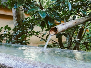 a water fountain with a hose coming out of it