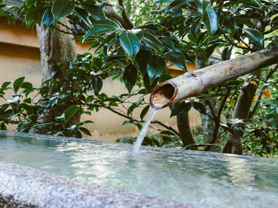 a water fountain with a hose coming out of it