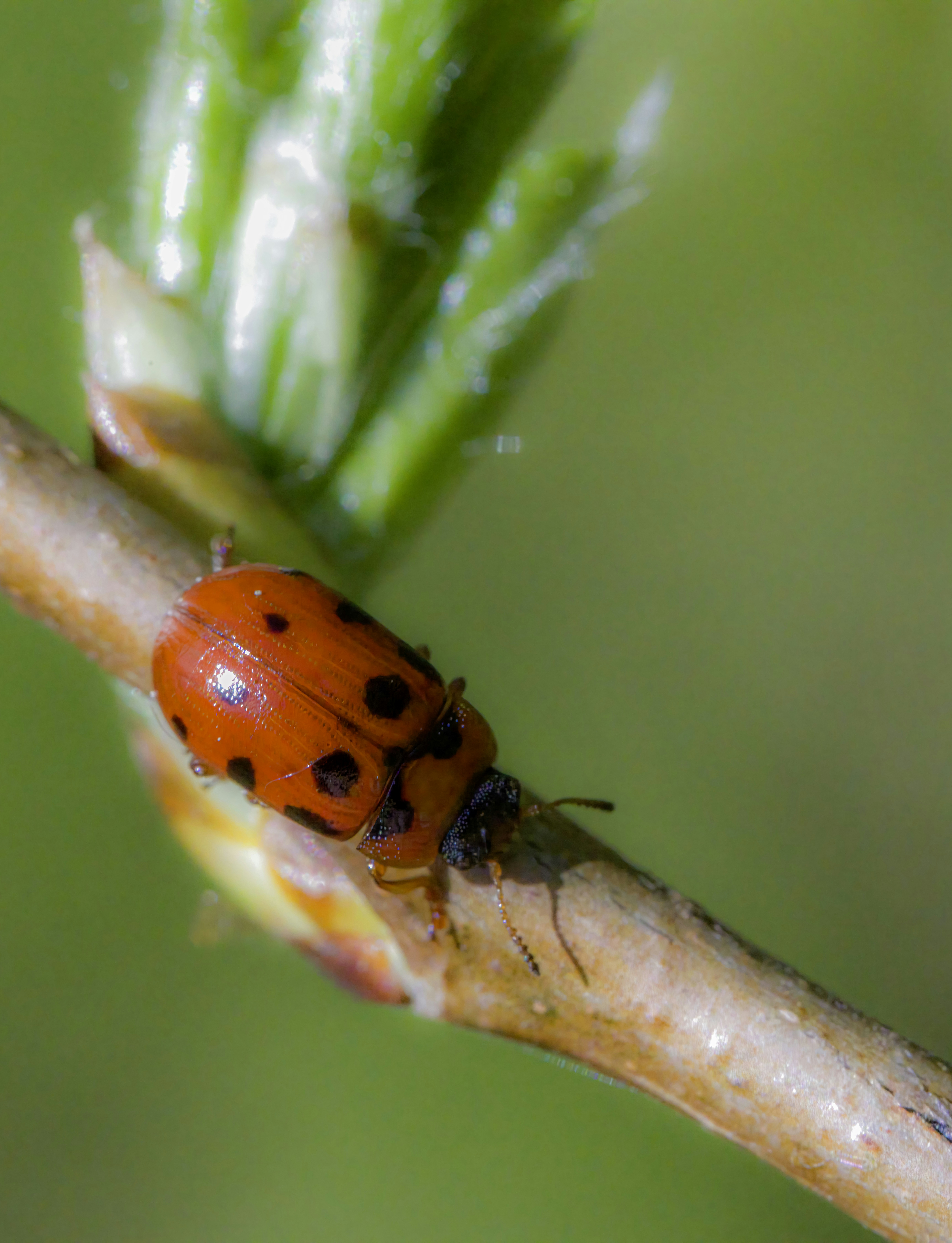 Photo by erik_karits