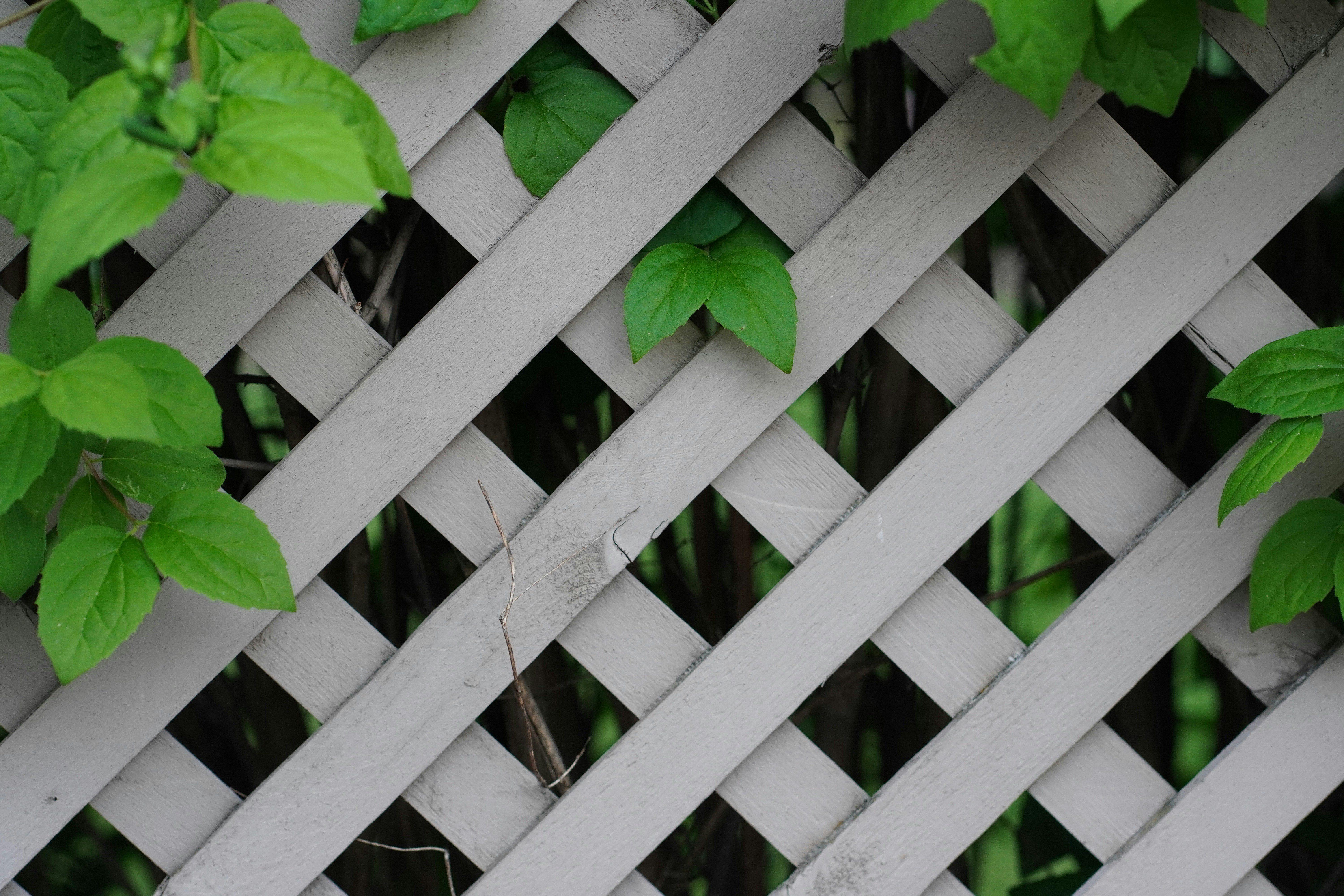 Photo by kolbymilton