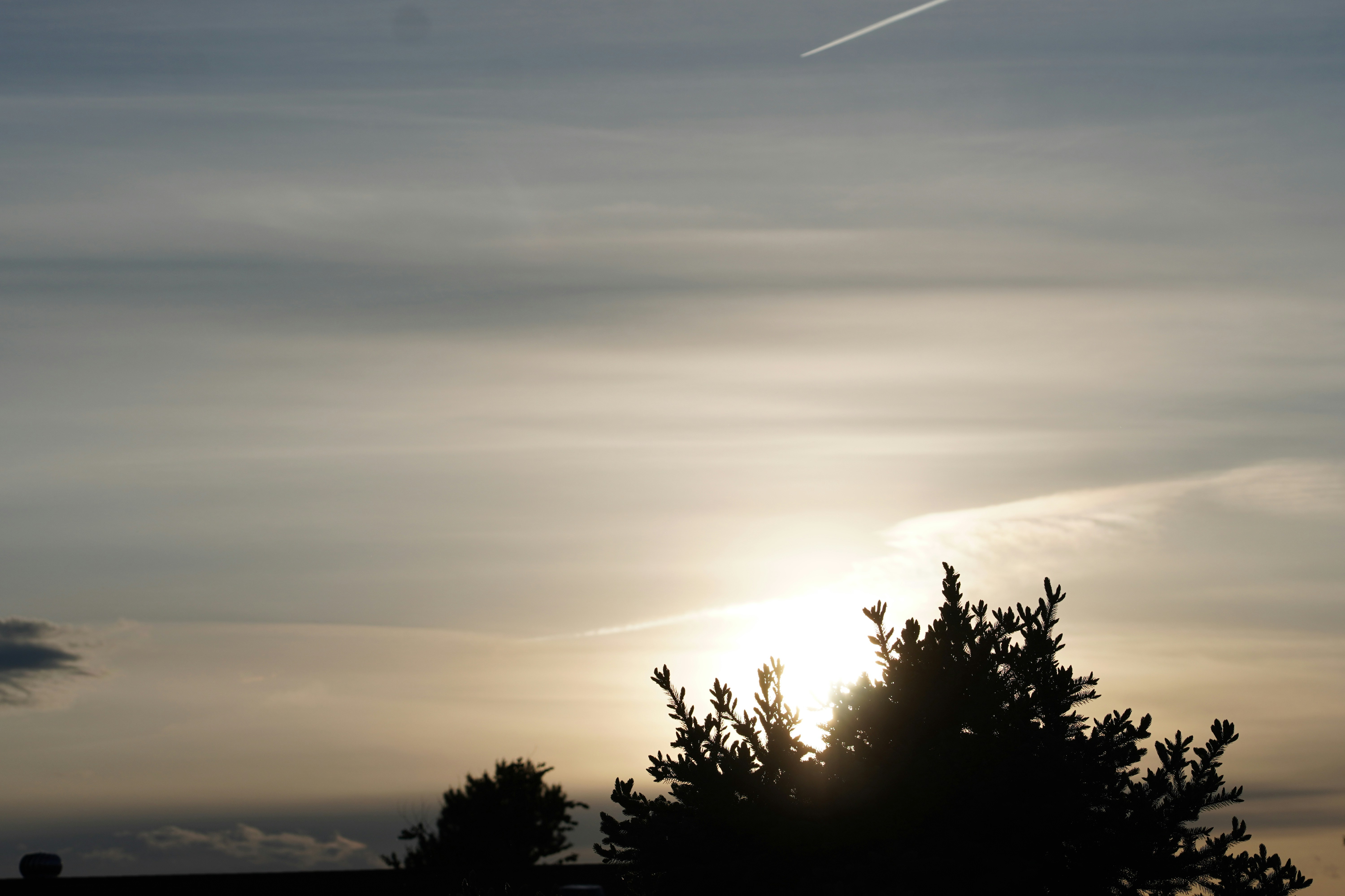 Photo by kolbymilton