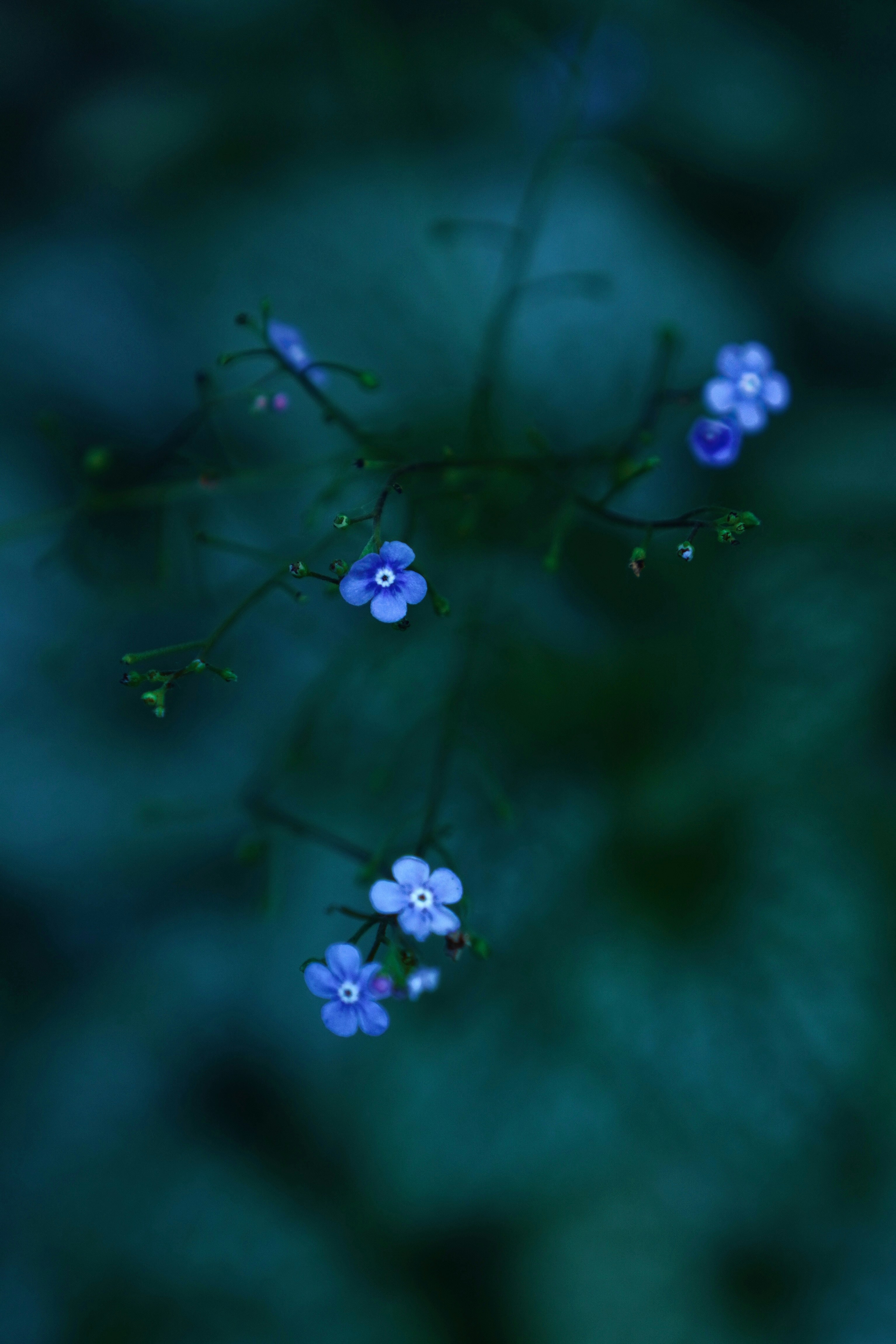 Photo by meinayin