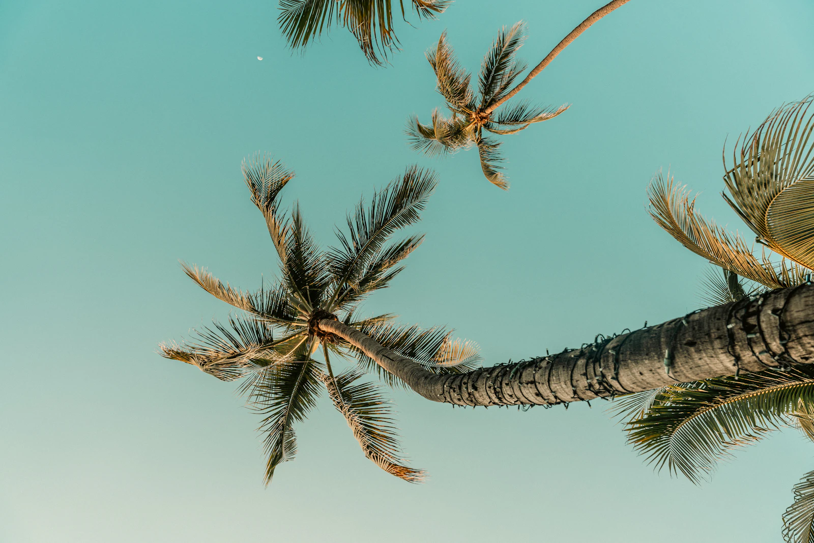 Storm Season Yard Prep for Citrus County, FL Homeowners