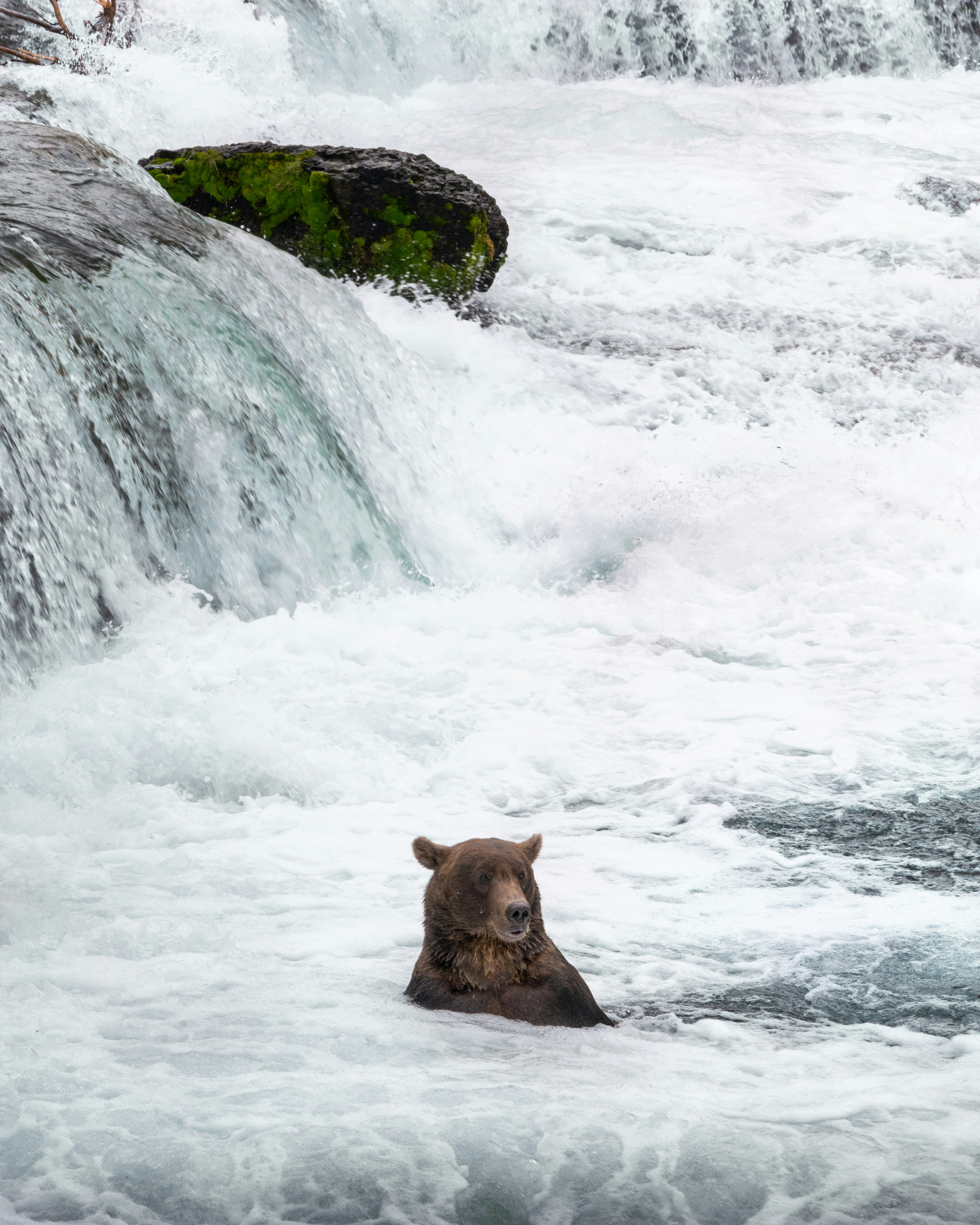 What Tours Are Available in Wrangell, Alaska for Wildlife and Adventure?