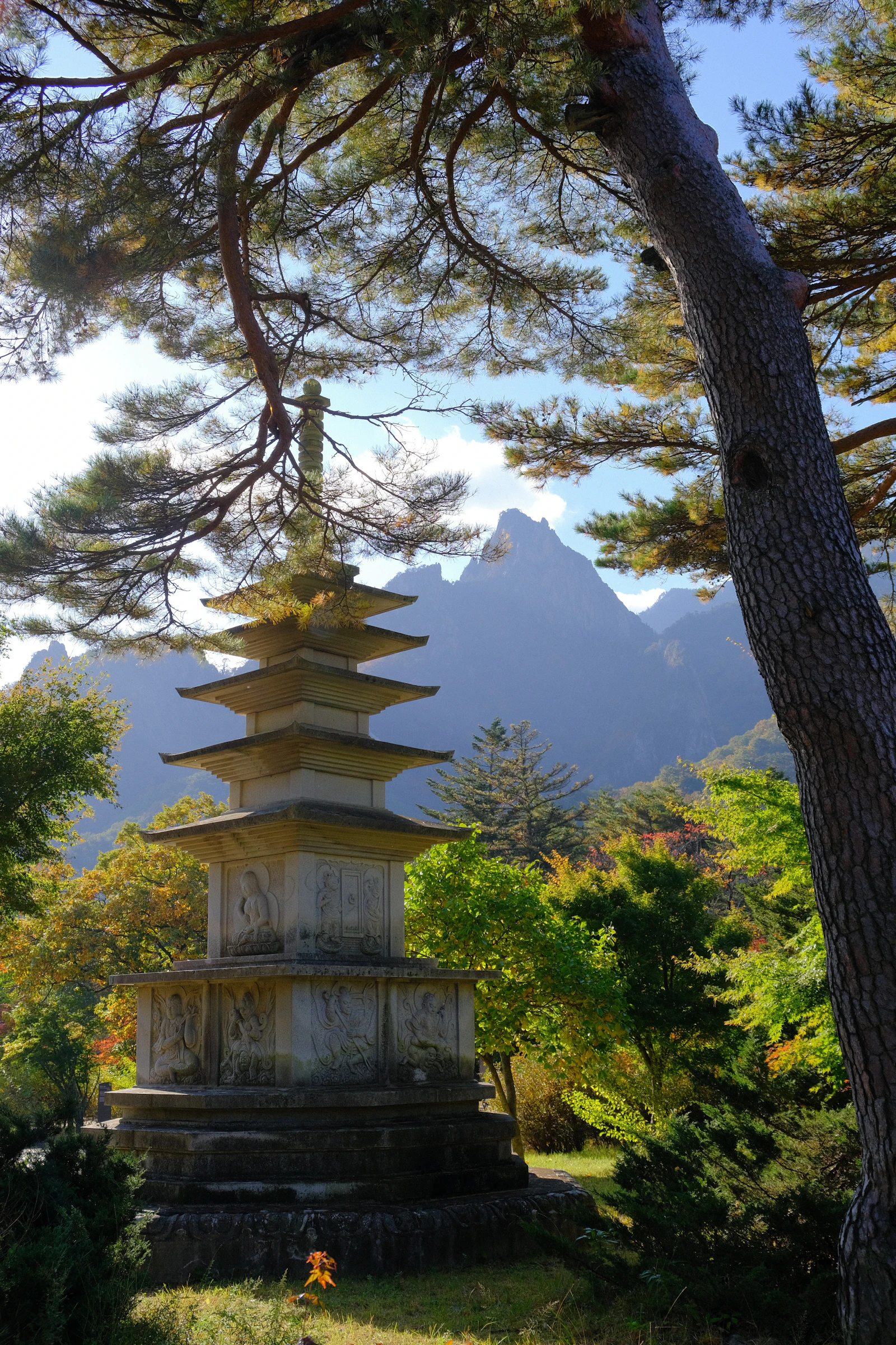 Pagoda di pietra circondata dalla foresta su una montagna coreana