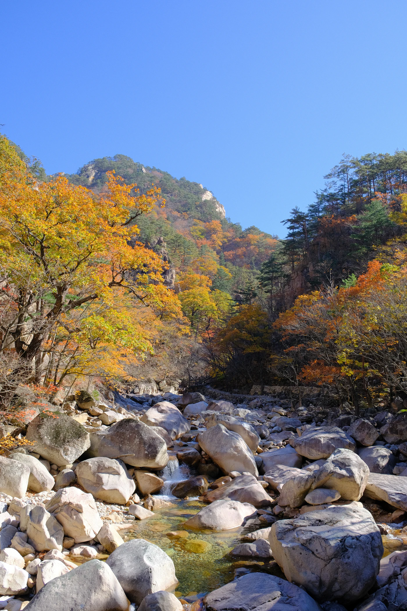설악산의 계곡과 산림 풍경