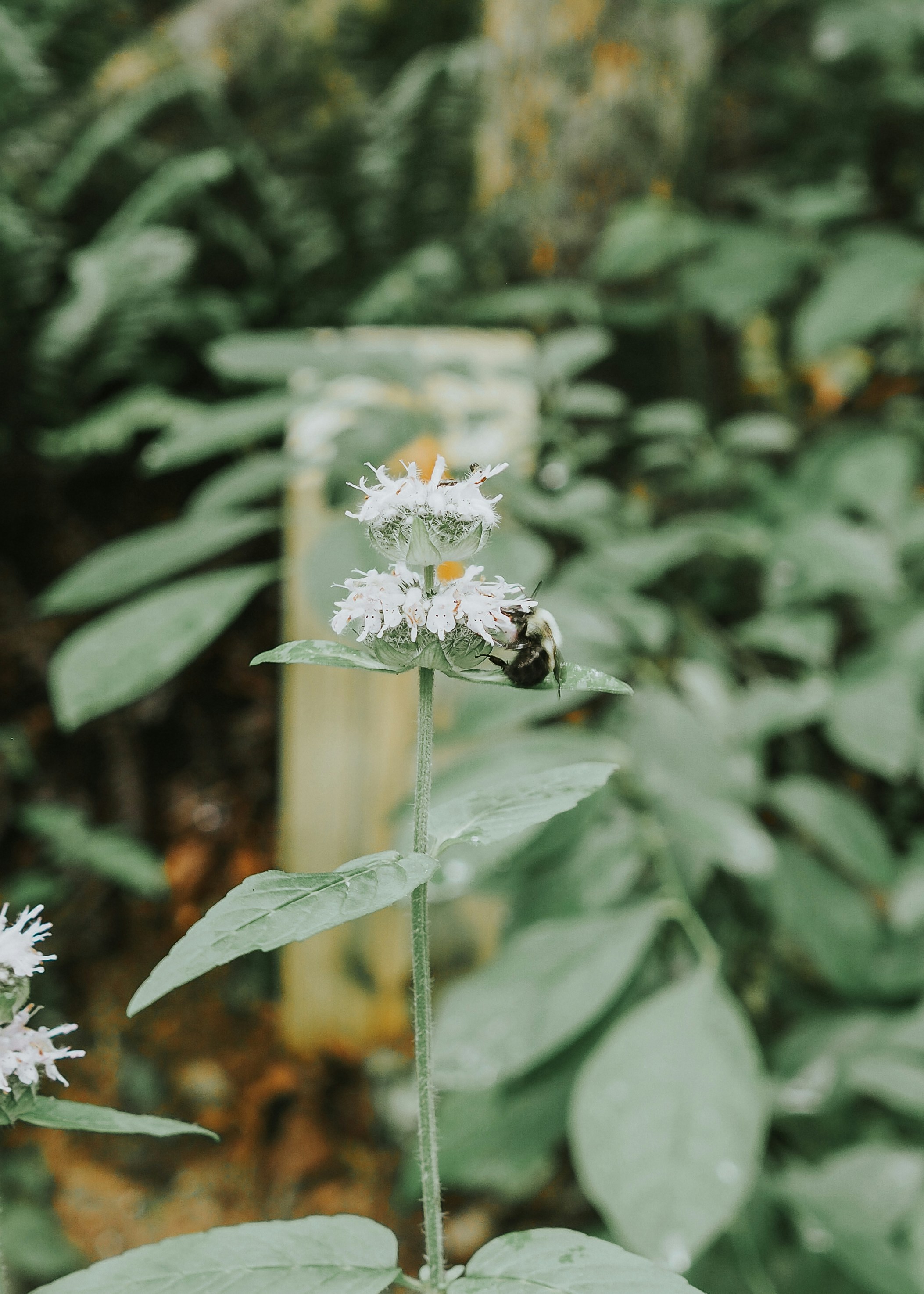 Photo by fieldworkframes